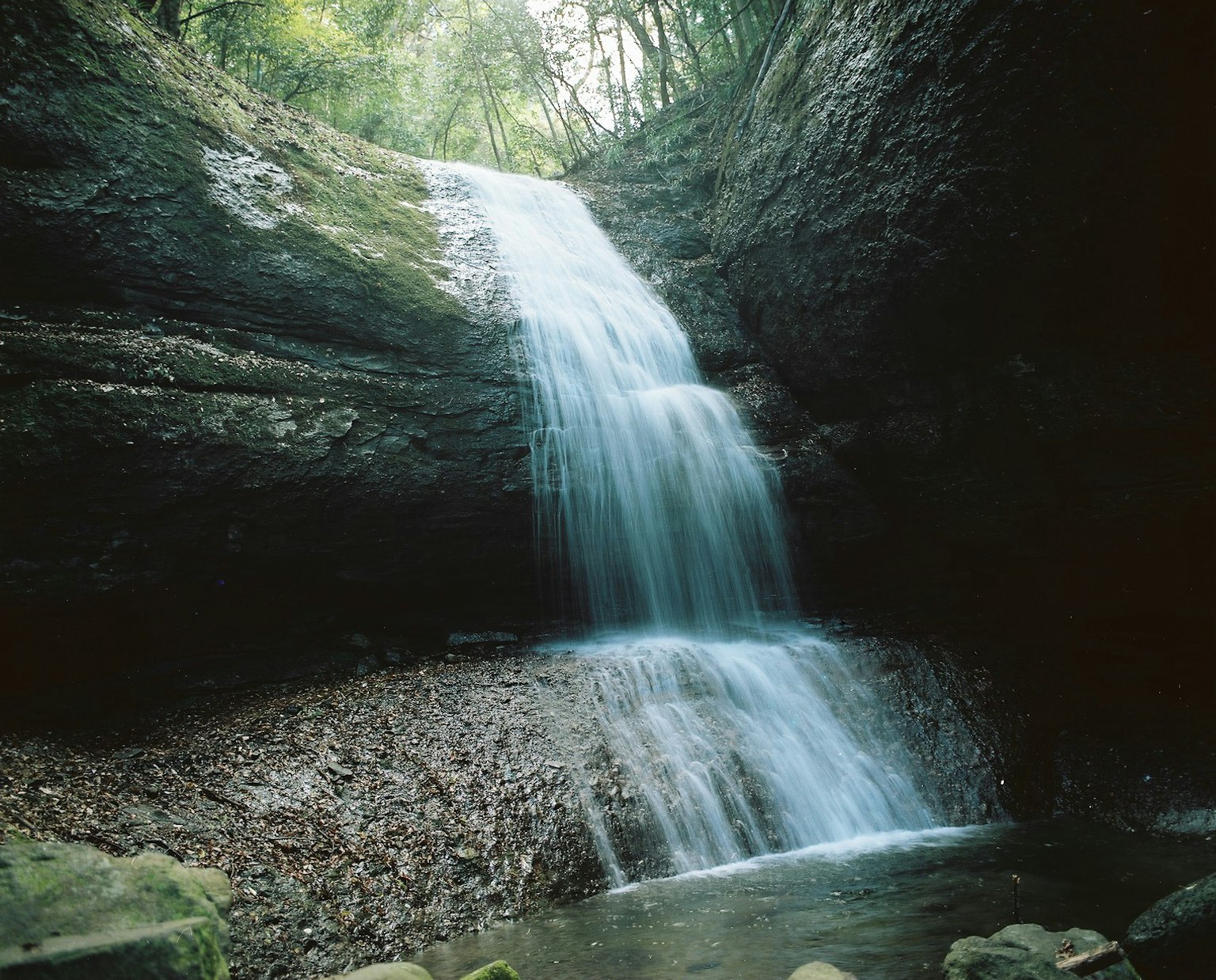 Pemandangan alam yang indah dengan air terjun yang mengalir