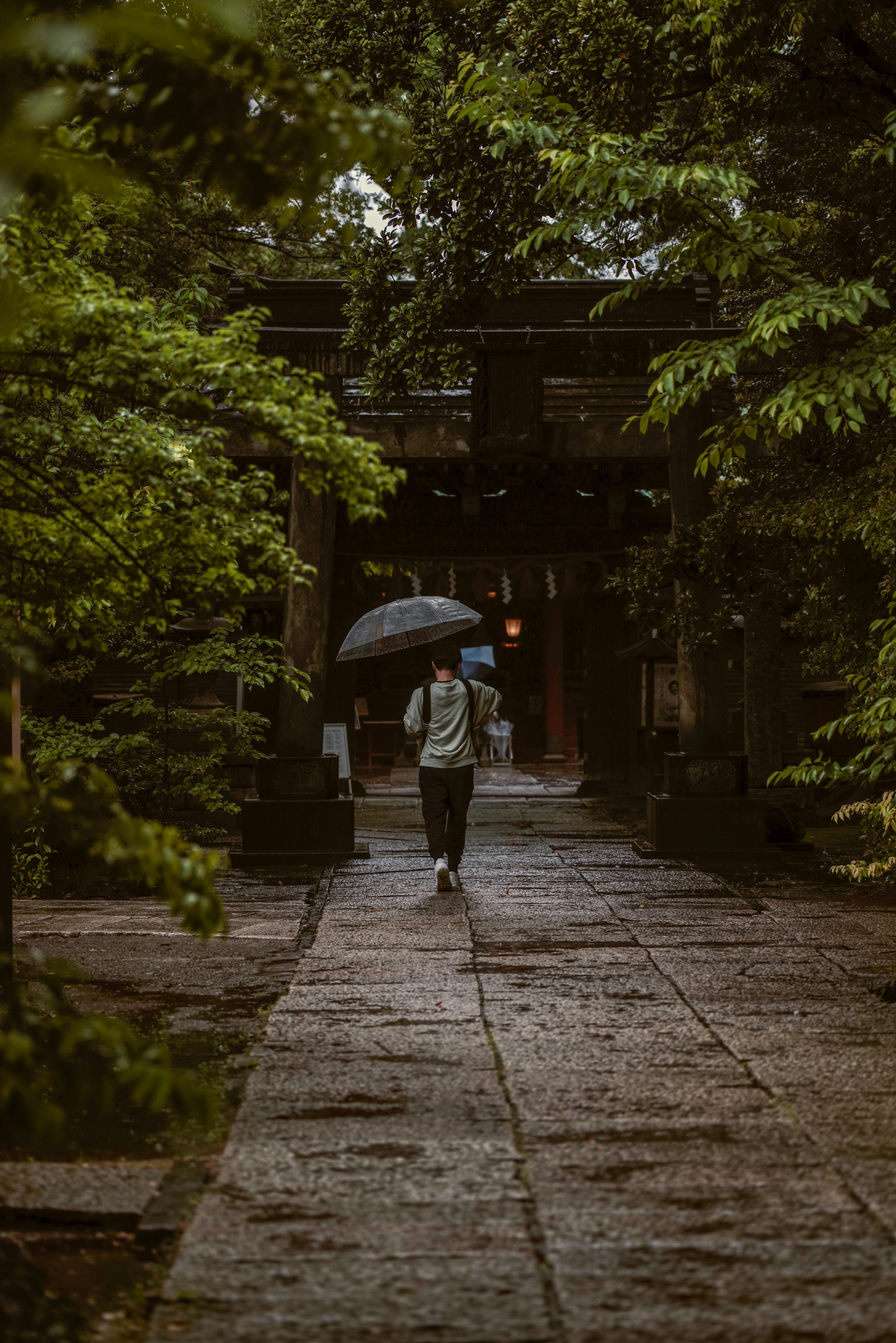 雨の日の緑に囲まれた参道の石畳