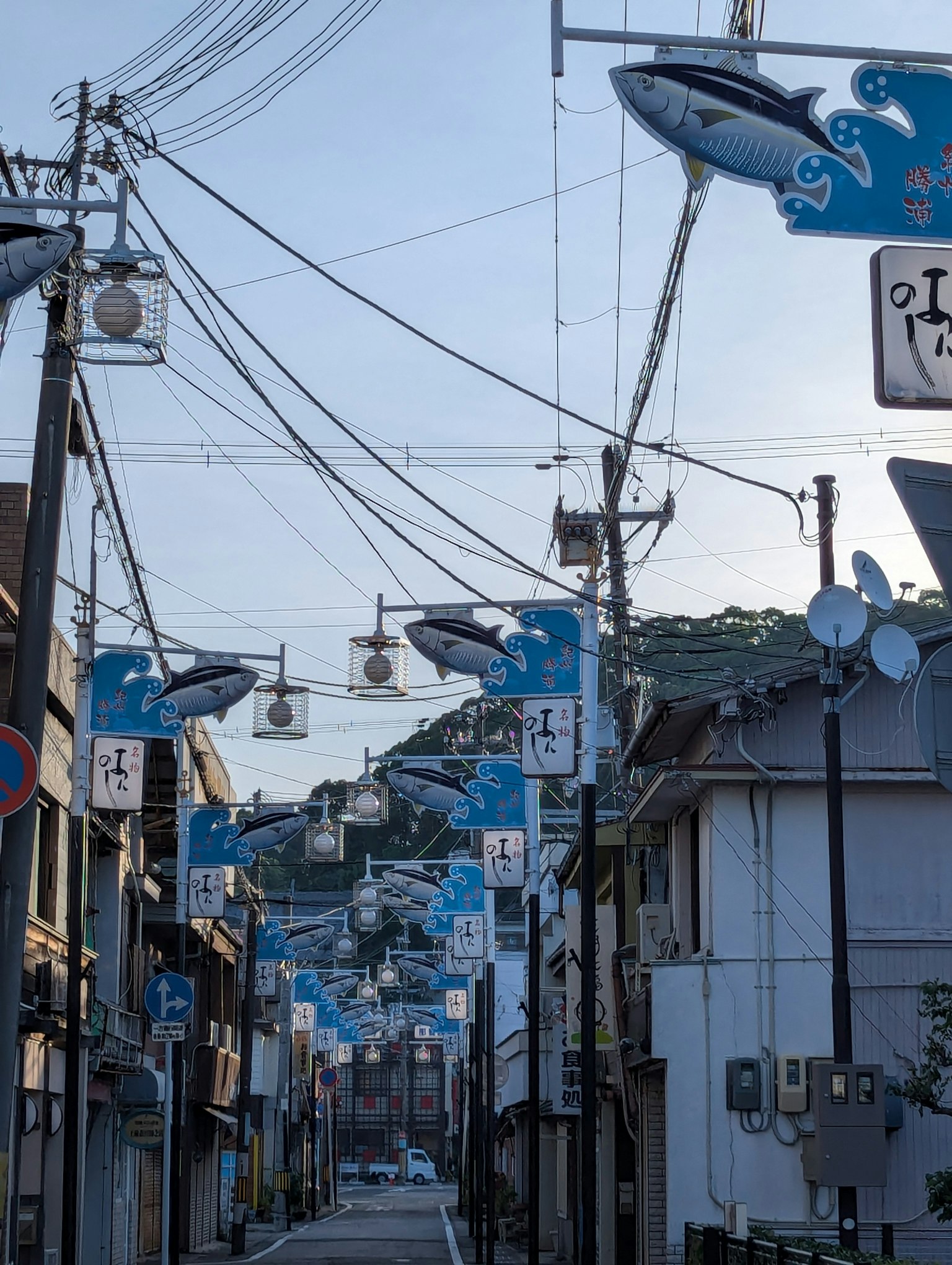 Quiet street decorated with blue whale lanterns