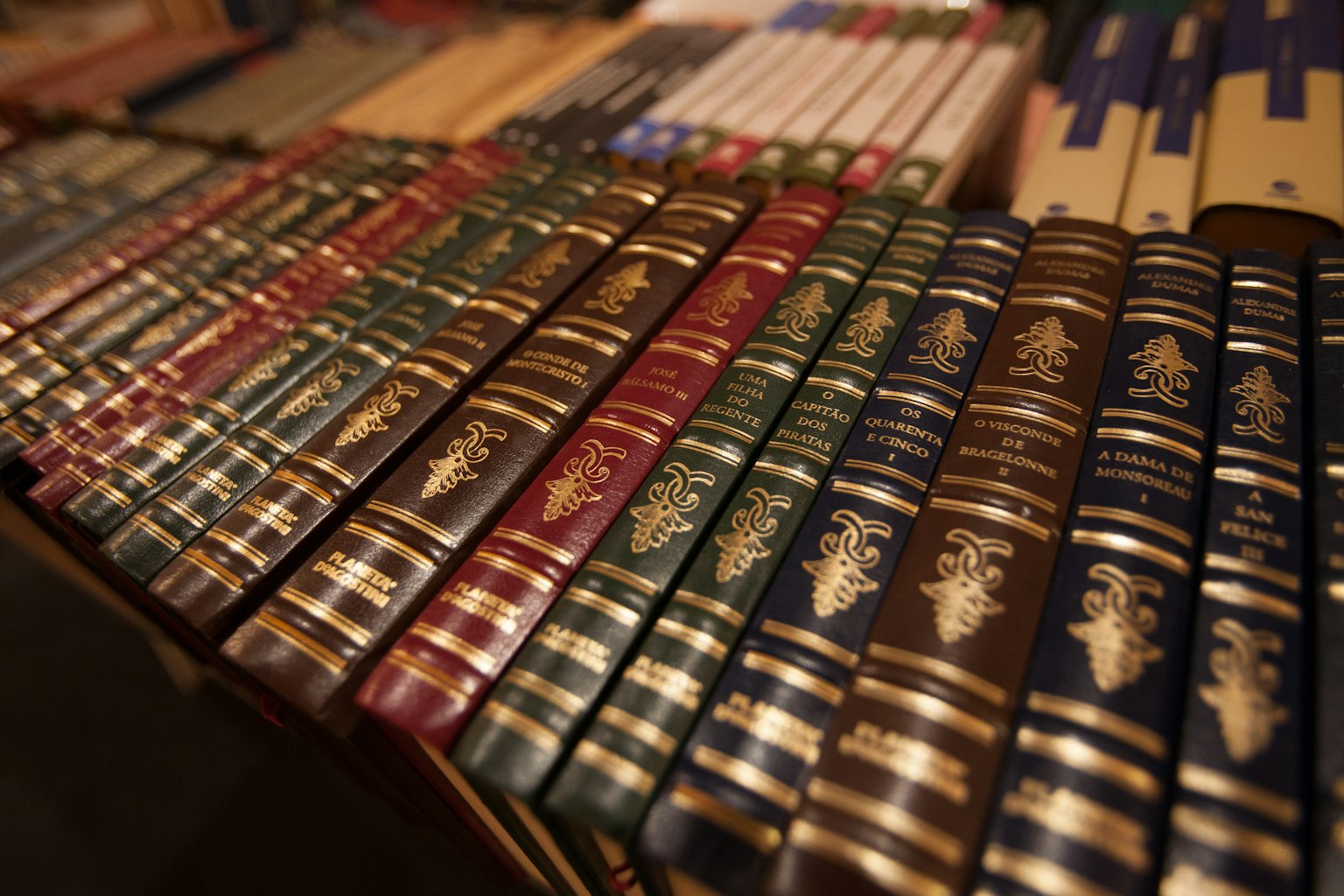 A collection of classic leather-bound books on a shelf
