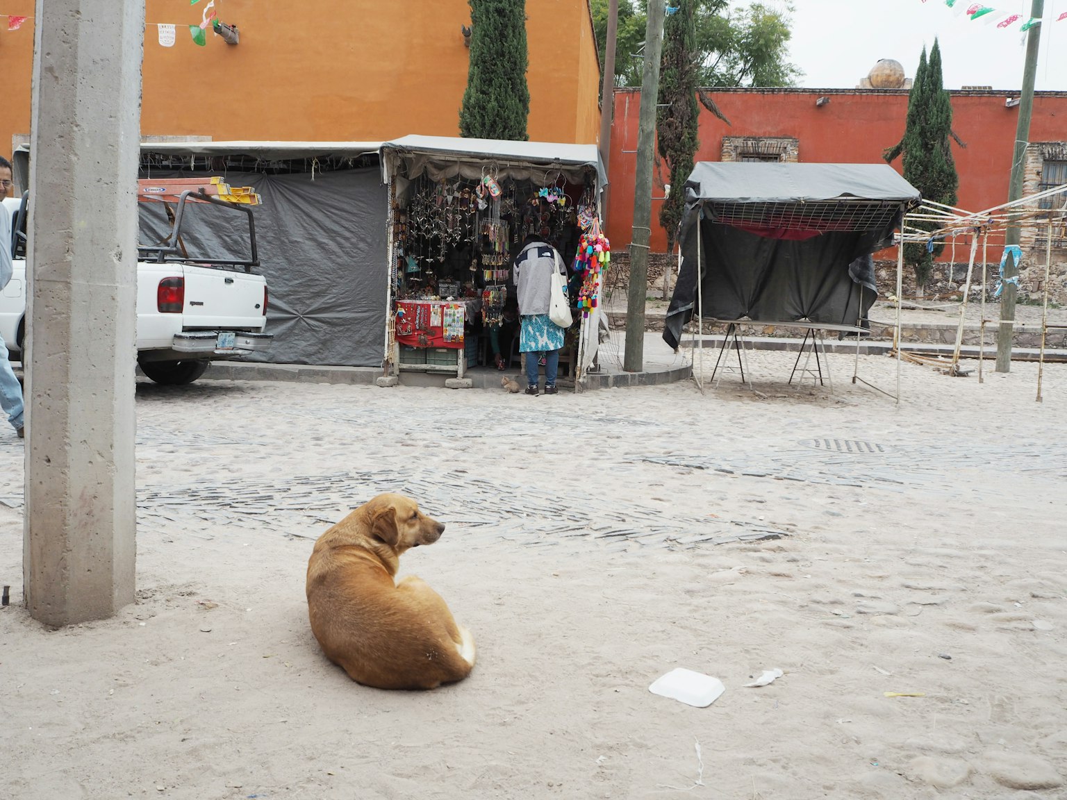 Brown dog resting on sand with market stalls in the background