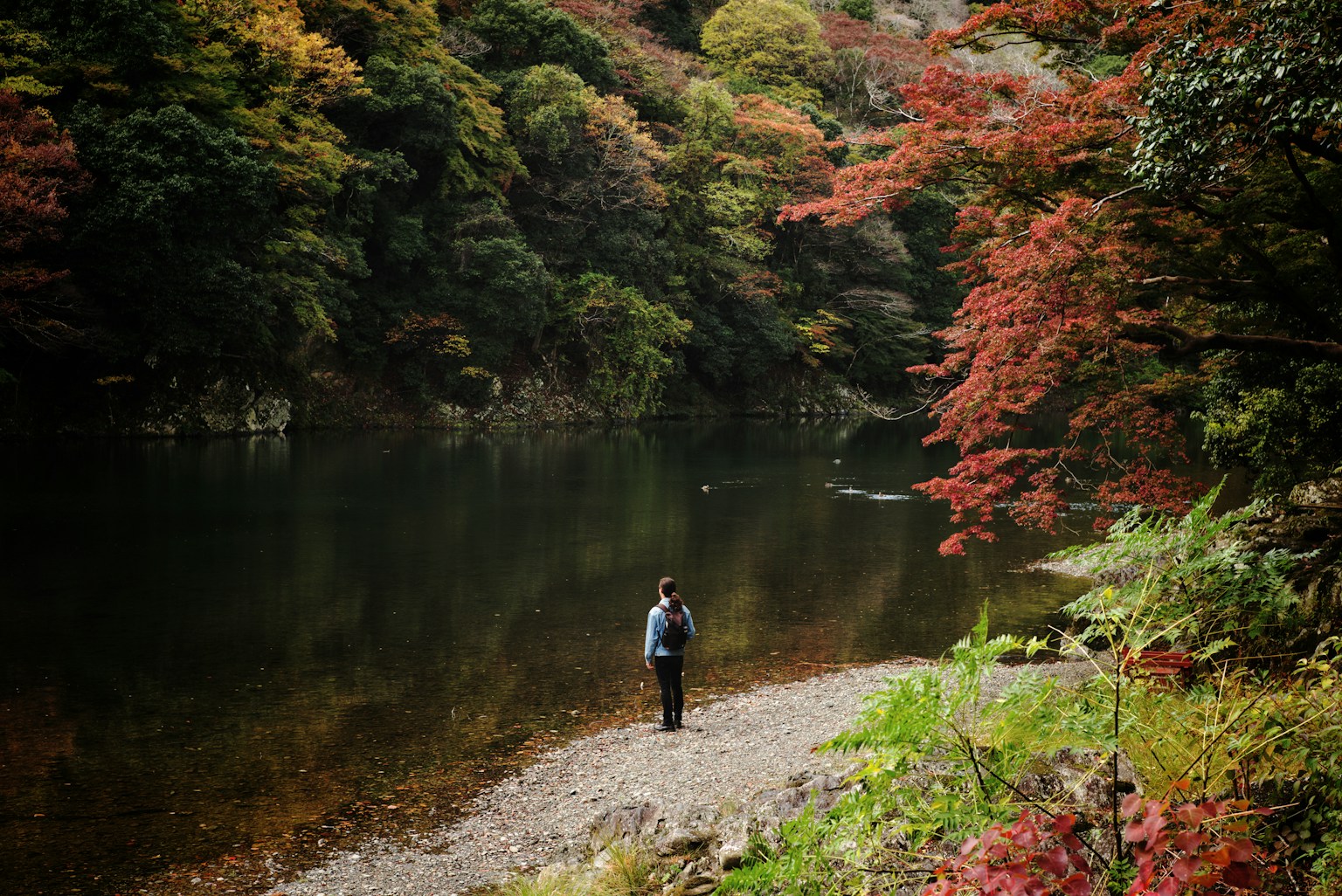 美しい紅葉の中で静かな川辺に立つ人物