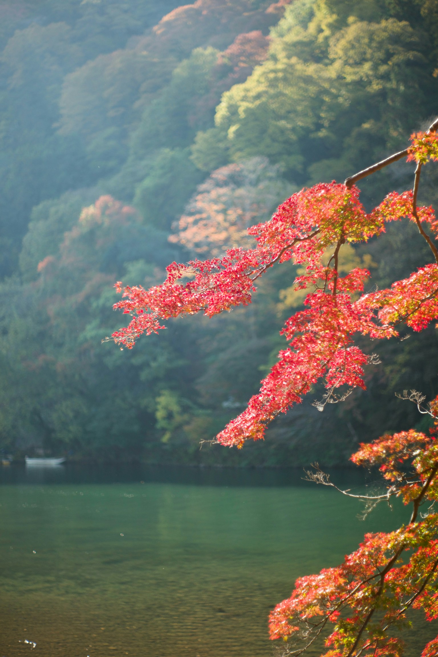 photo-b4GCJjAPtYYkjfOIPGch-image