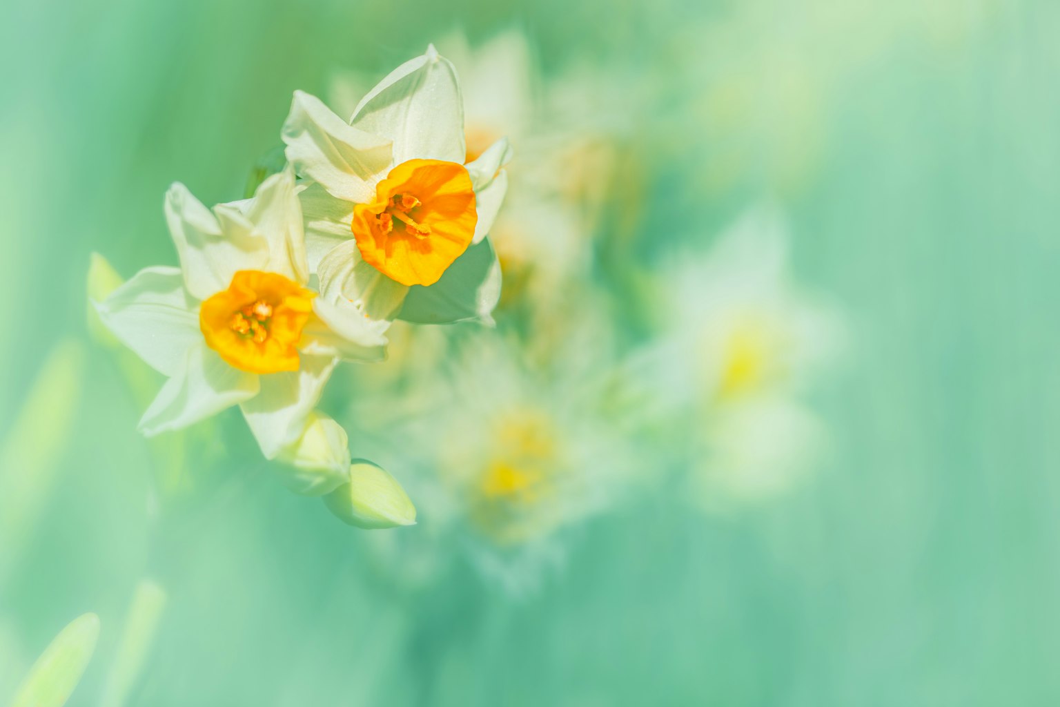 photo-b4KOjOaKa4MoGLxPKxIg-image