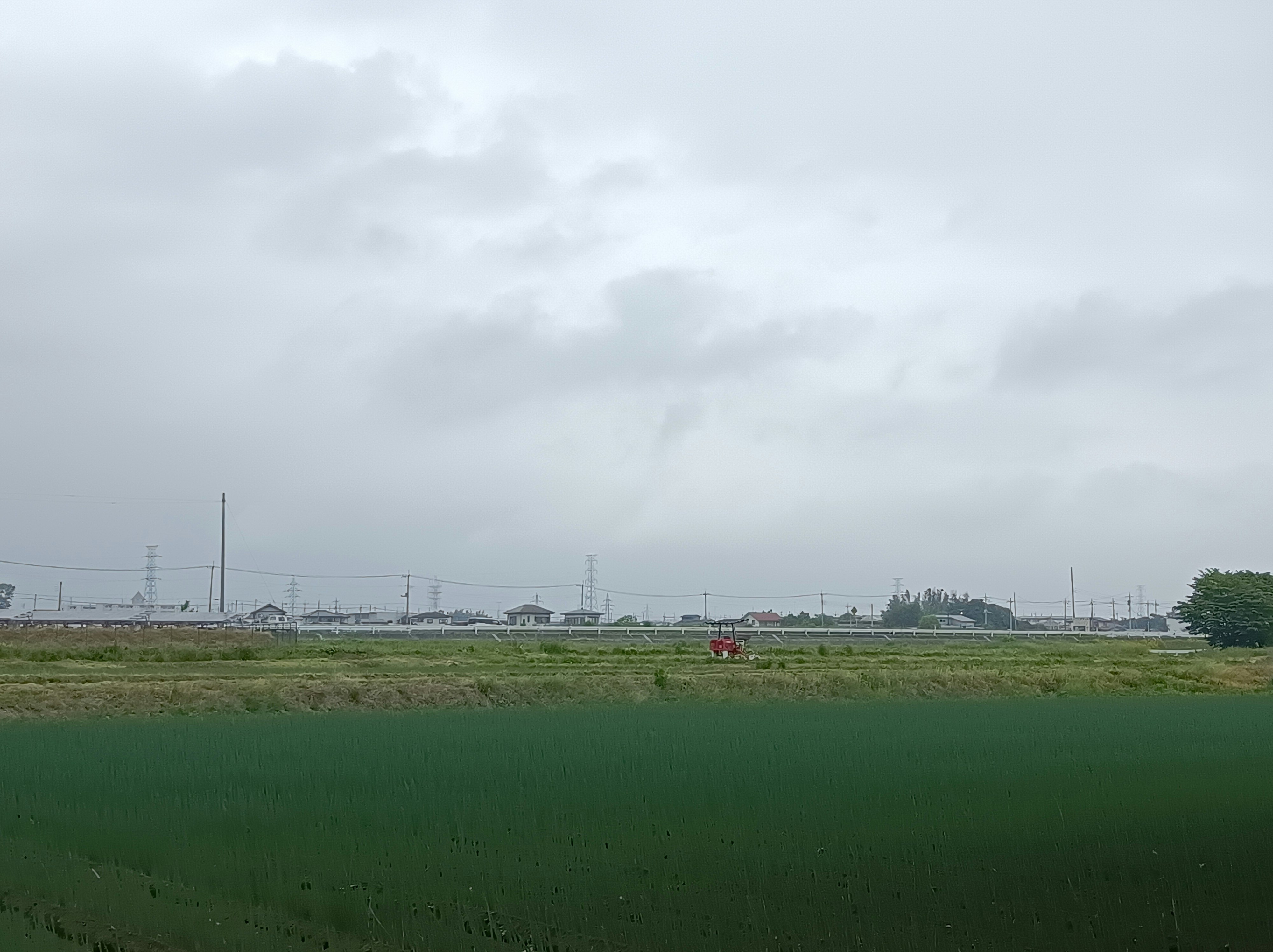 ネギ畑の広がる曇り空の風景