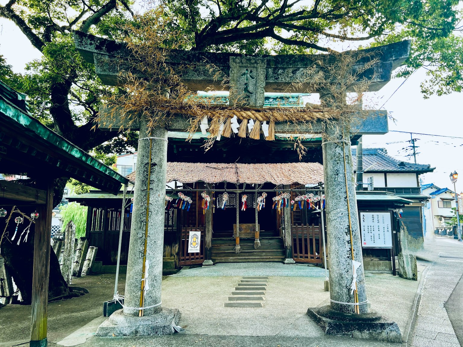 Torii gate of a shrine surrounded by trees with a serene atmosphere