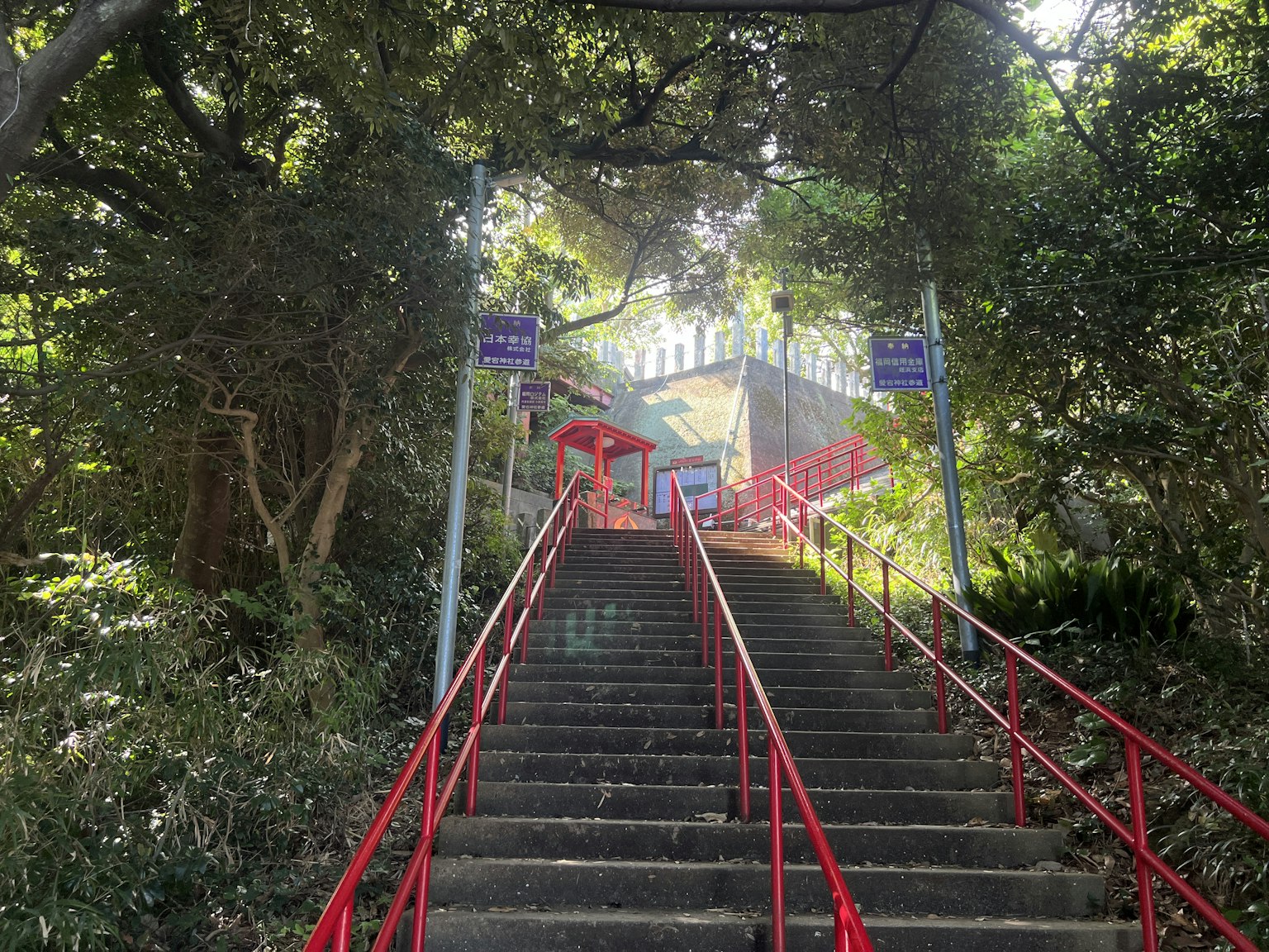 红色扶手的楼梯被郁郁葱葱的绿色树木包围