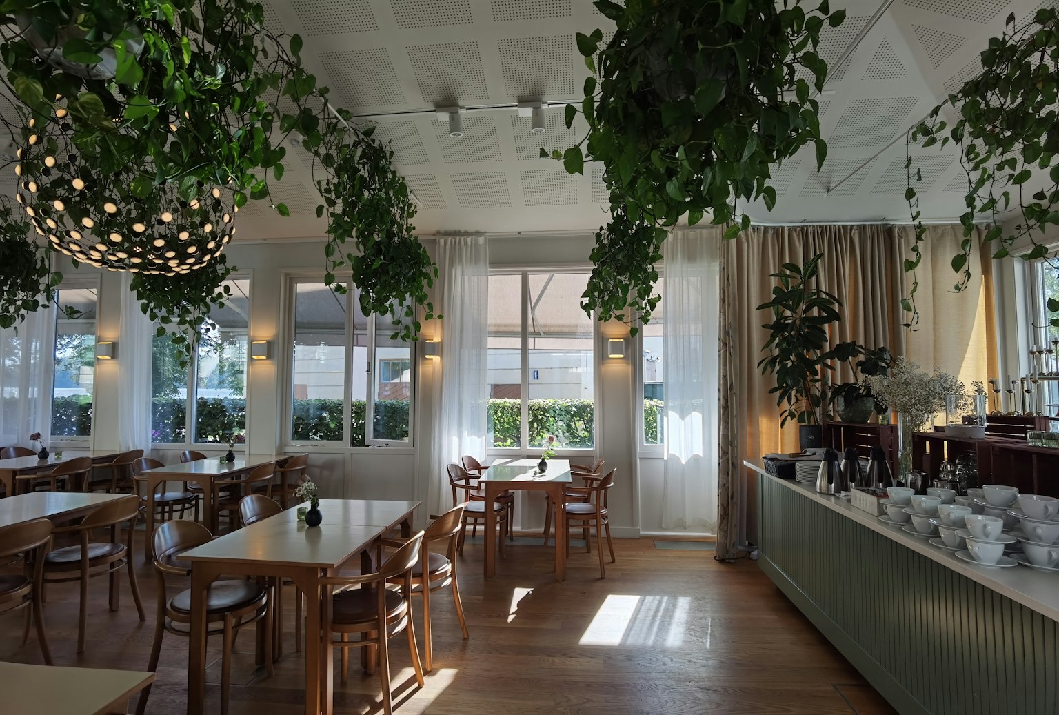 Interno luminoso di un ristorante con piante verdi disposte attorno ai tavoli e sedie