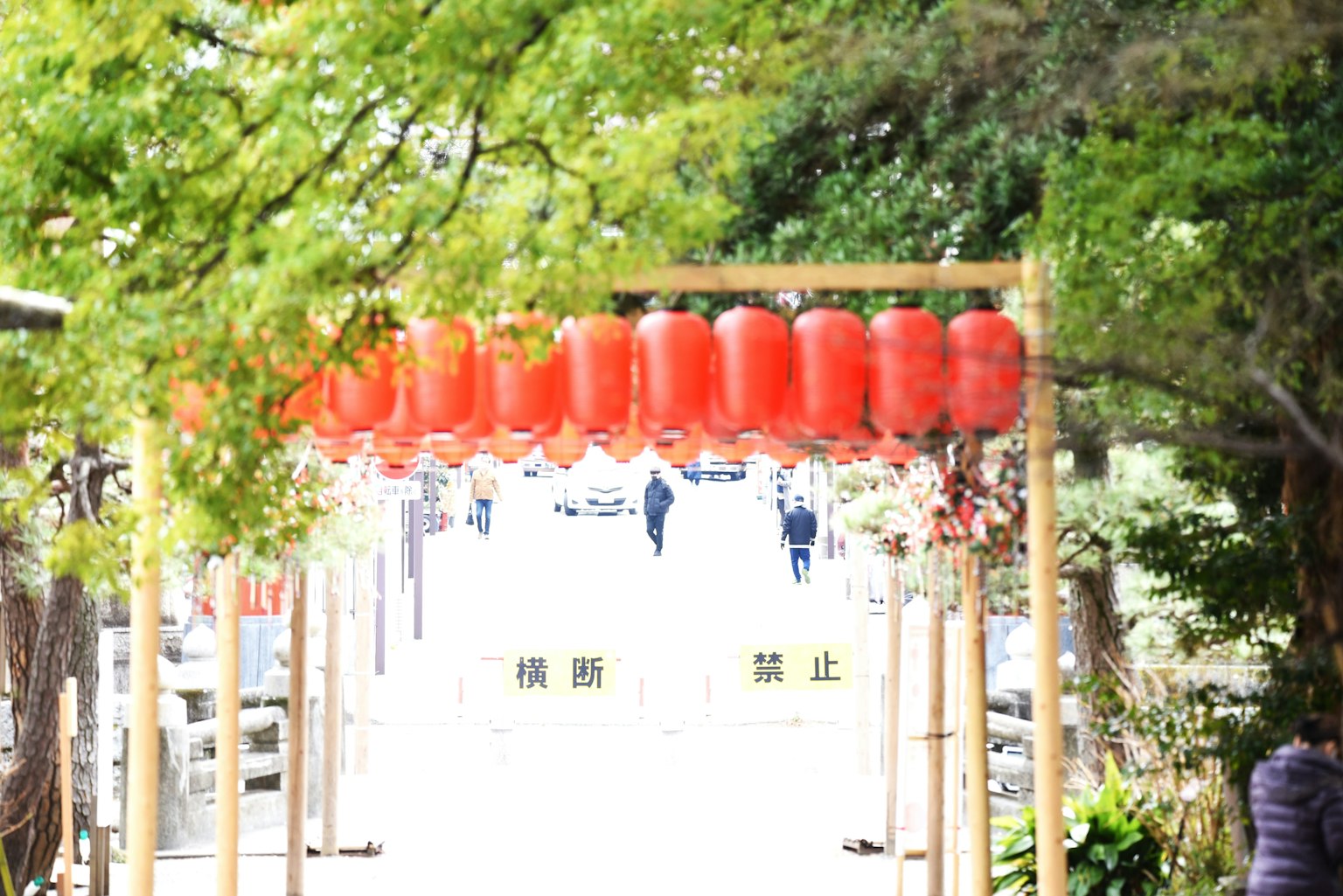 Scène d'entrée avec des lanternes rouges suspendues