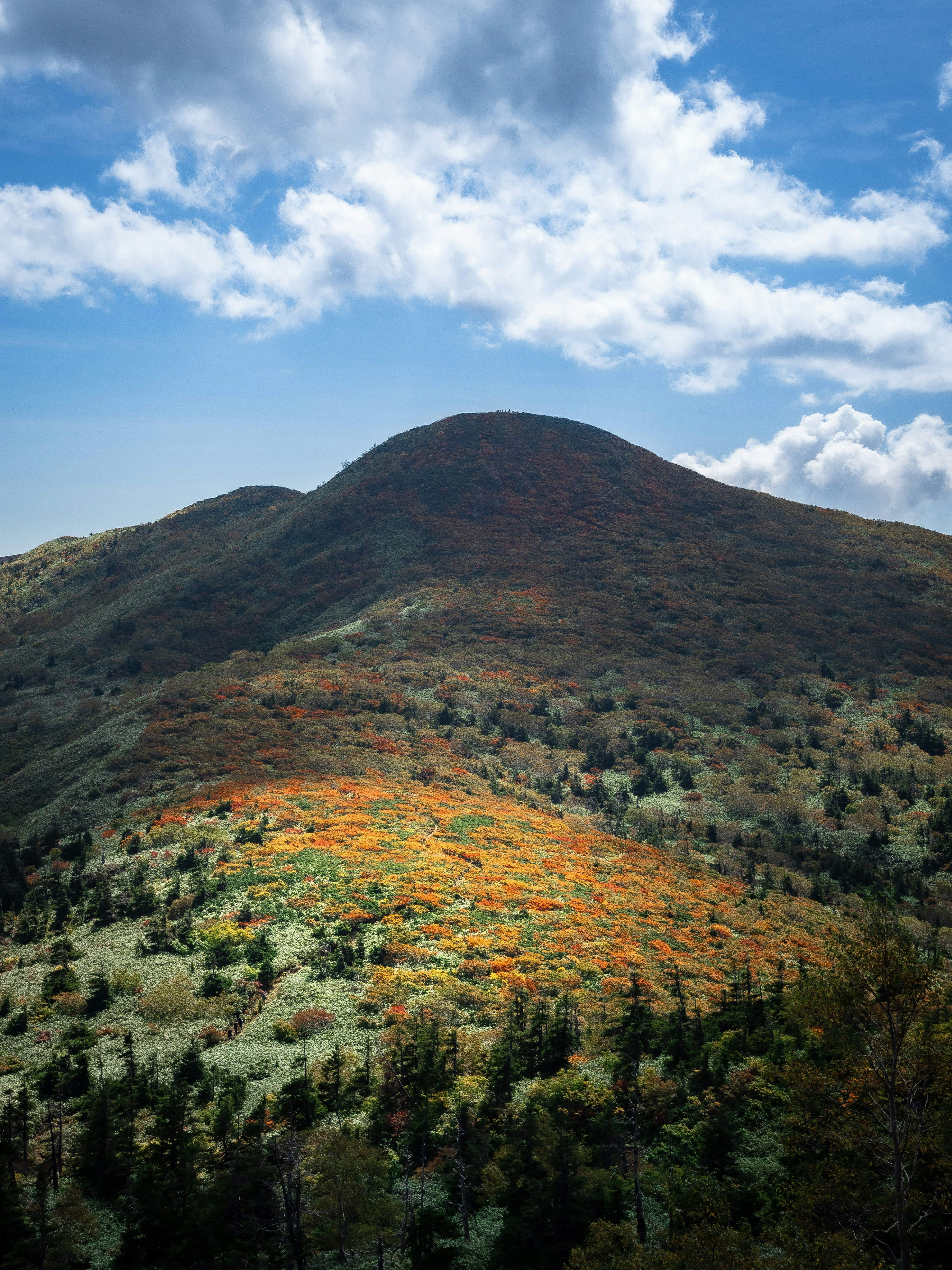岩手の三ツ石山の山稜と紅葉の森が広がる景色