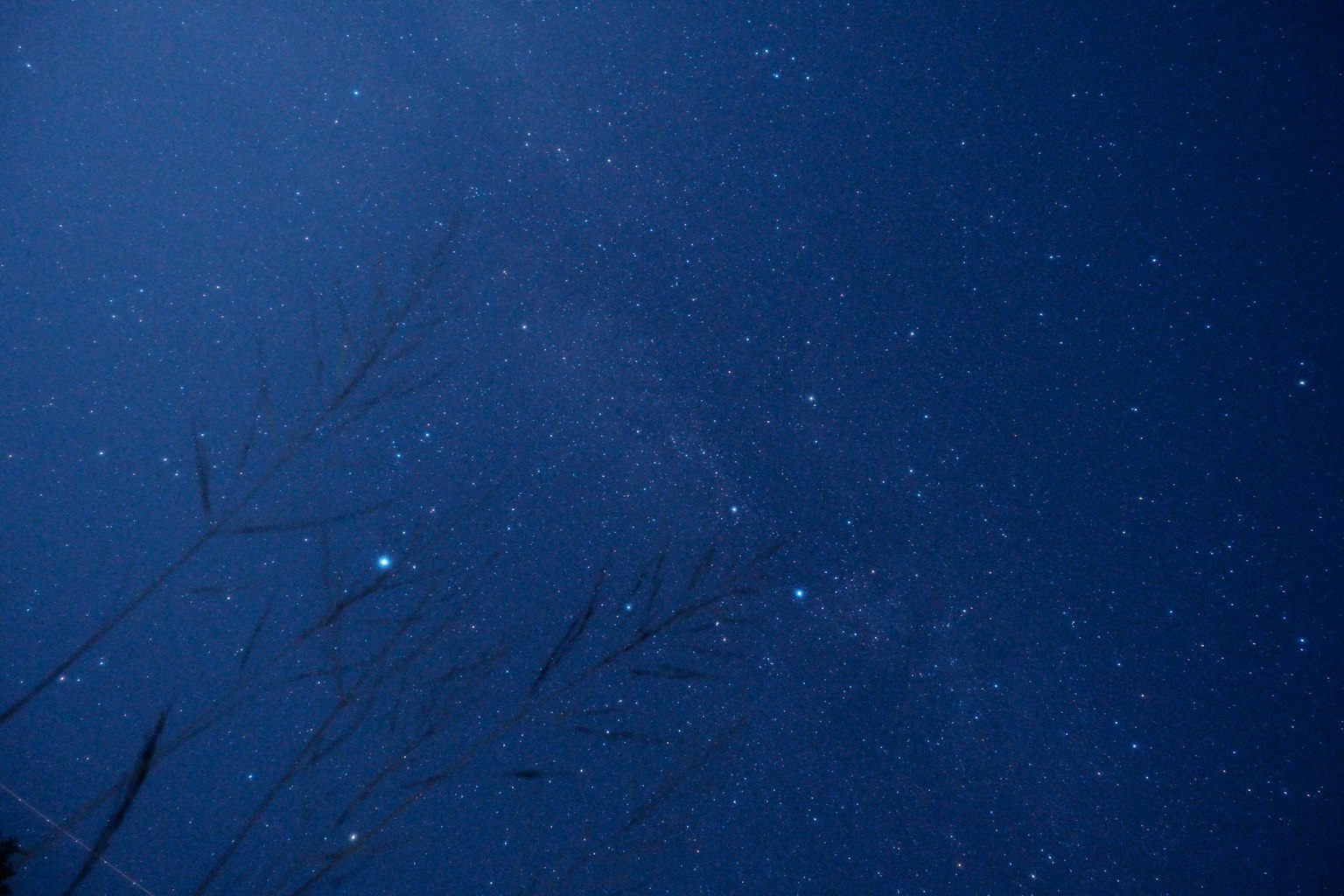 繁星點綴的夜空和草的輪廓