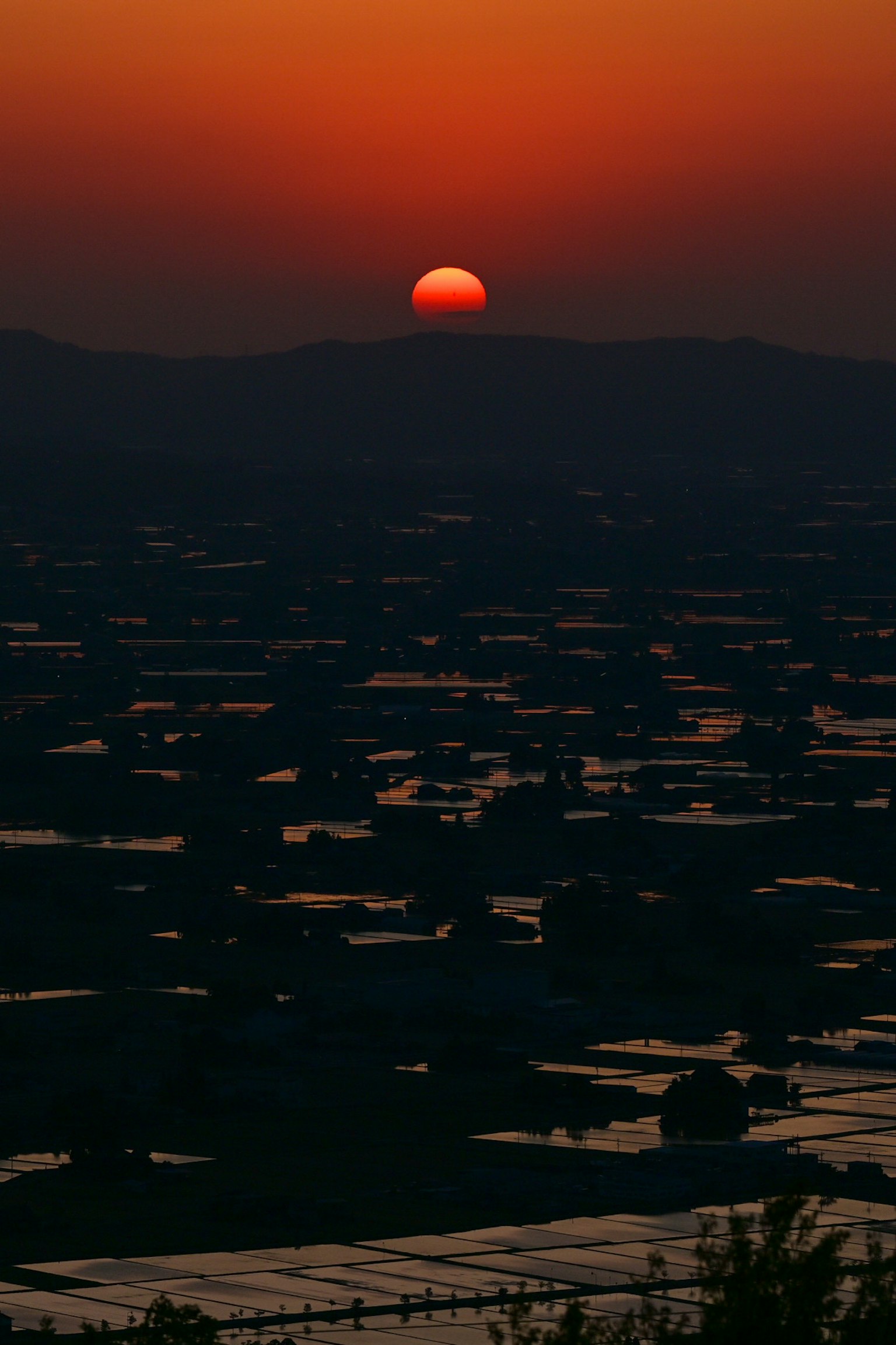 Sunset over a landscape with rice fields reflecting light