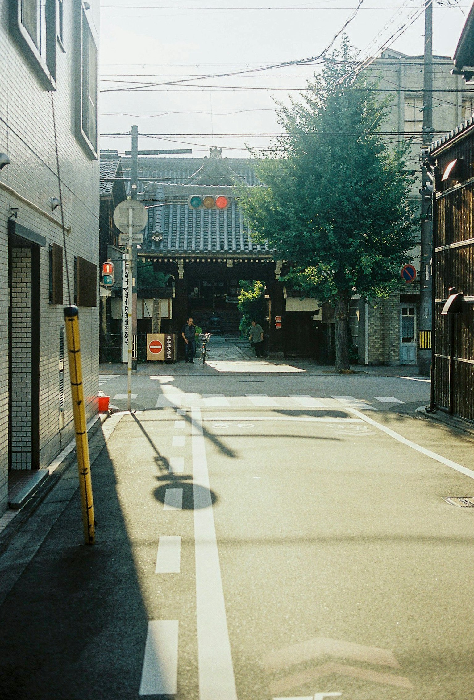 Quiet street scene with buildings and a prominent green tree