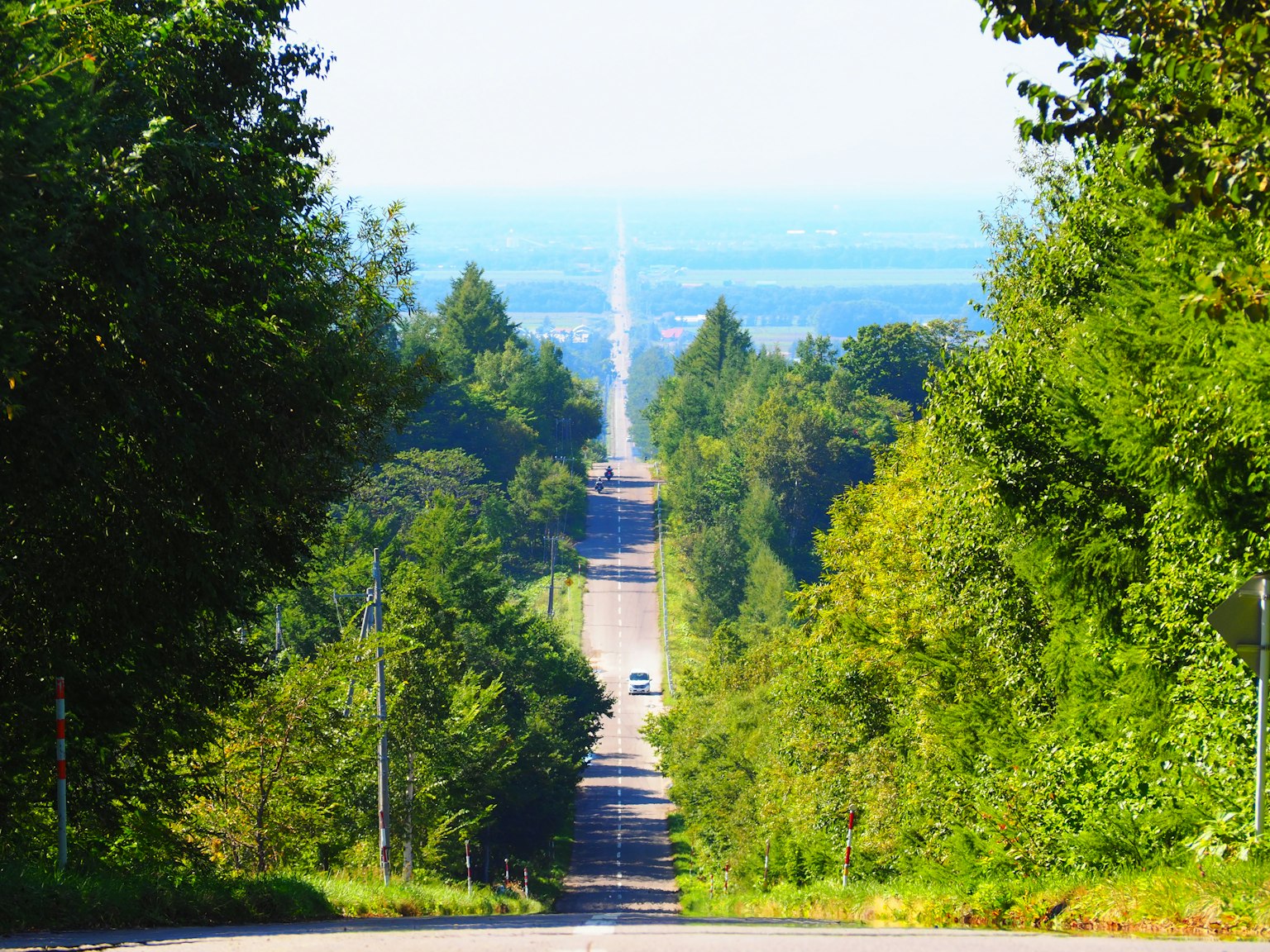 Une longue route droite entourée de verdure luxuriante menant à l'horizon