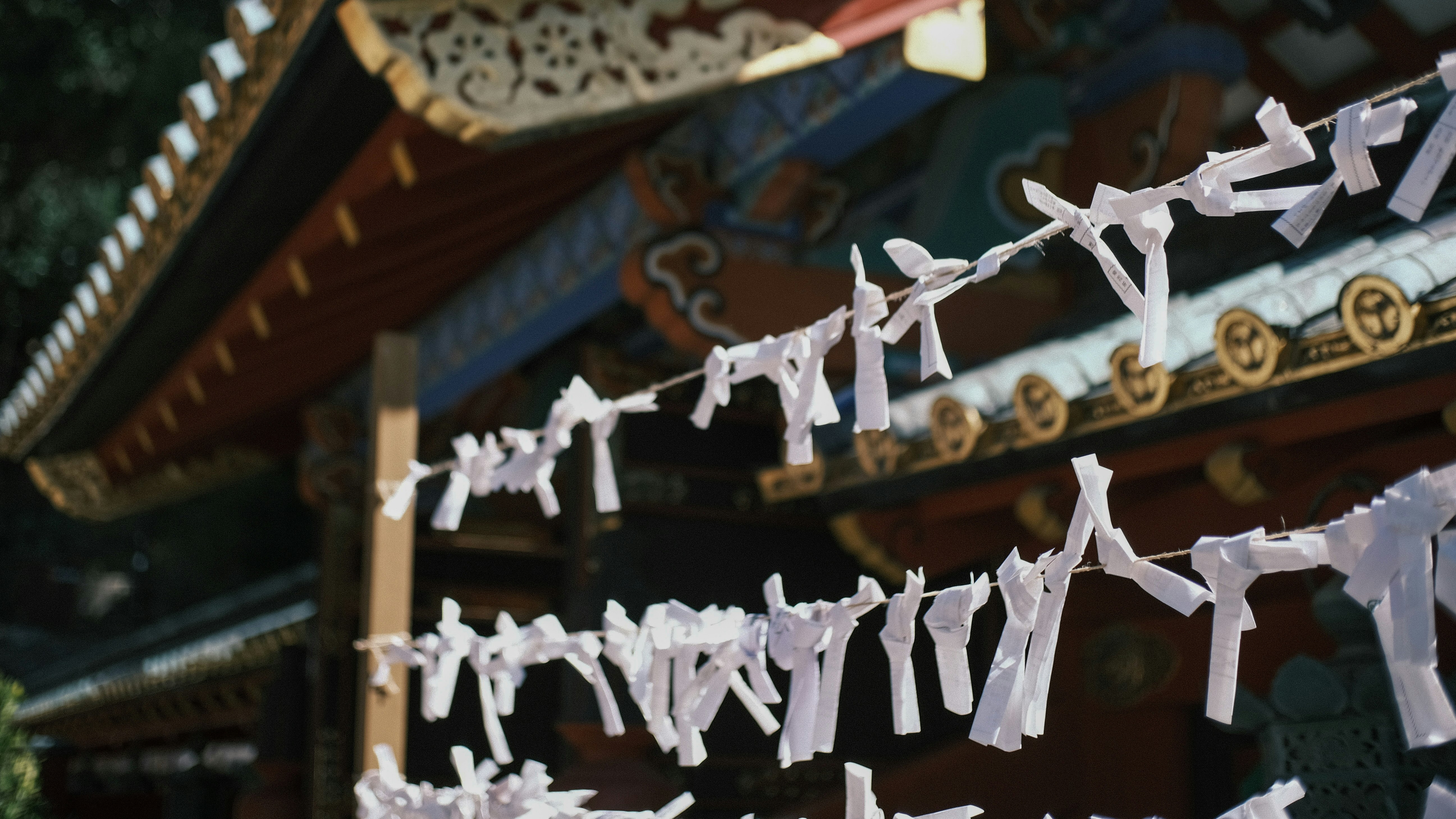 神社の軒先に並ぶおみくじの結び飾り画像