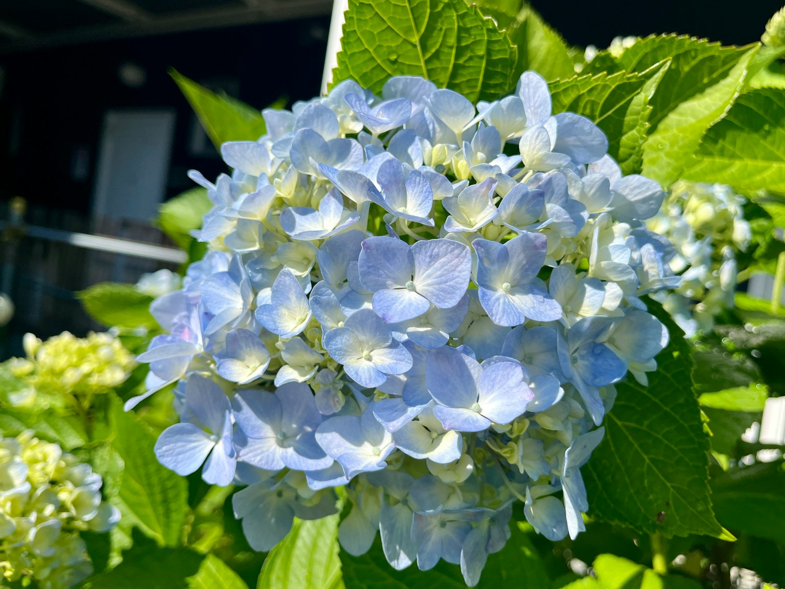 photo-b9yt4XqwH7GJnh50JflO-image