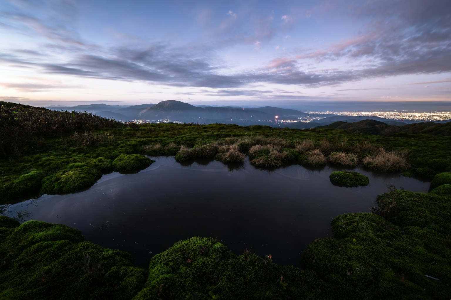 Scène crépusculaire avec une verdure luxuriante et un étang tranquille