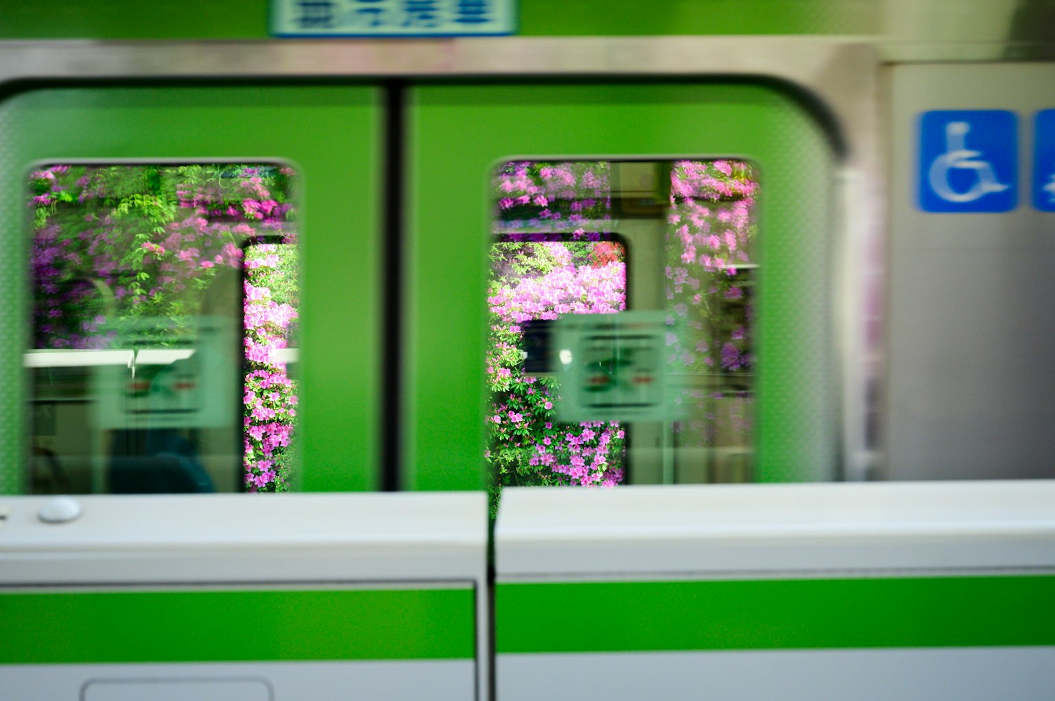 Porte di treno verdi con vista su fiori rosa