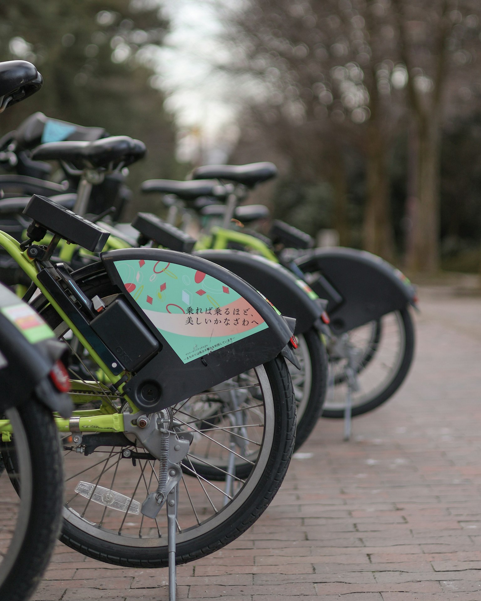 公園裡停著的一排自行車 綠色車架和多彩設計