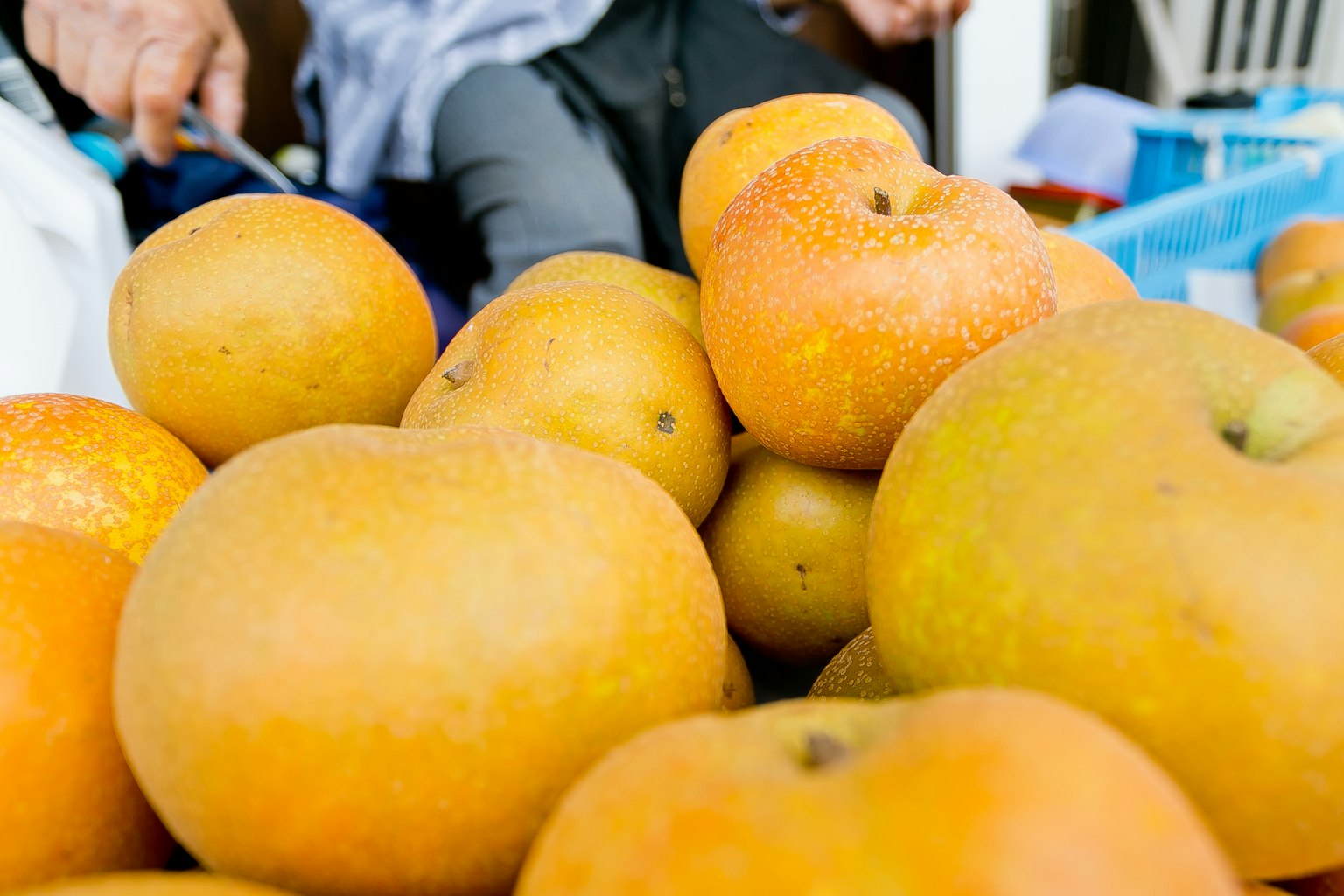 Un tas de fruits orange avec une main humaine en arrière-plan