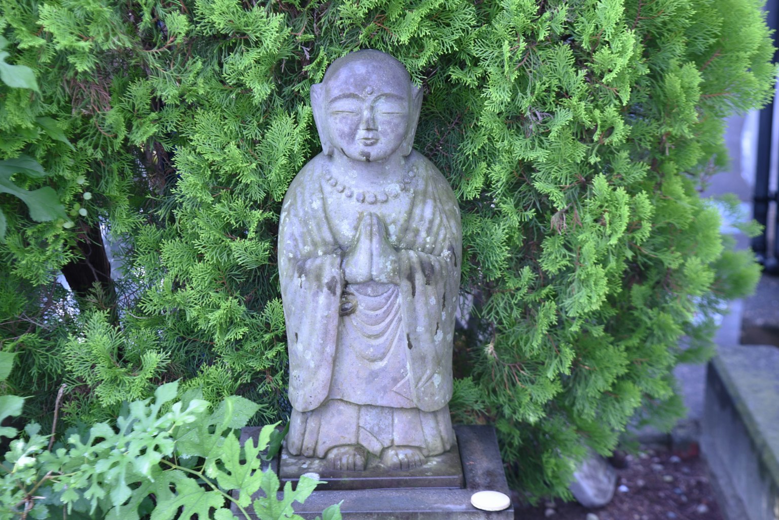 A stone statue of a Buddha surrounded by greenery