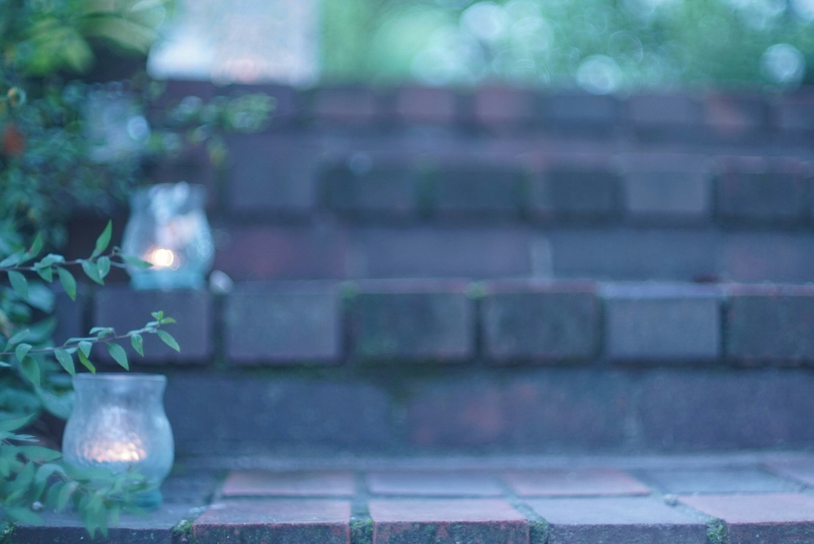 磚牆與盆栽植物構成的寧靜庭院場景