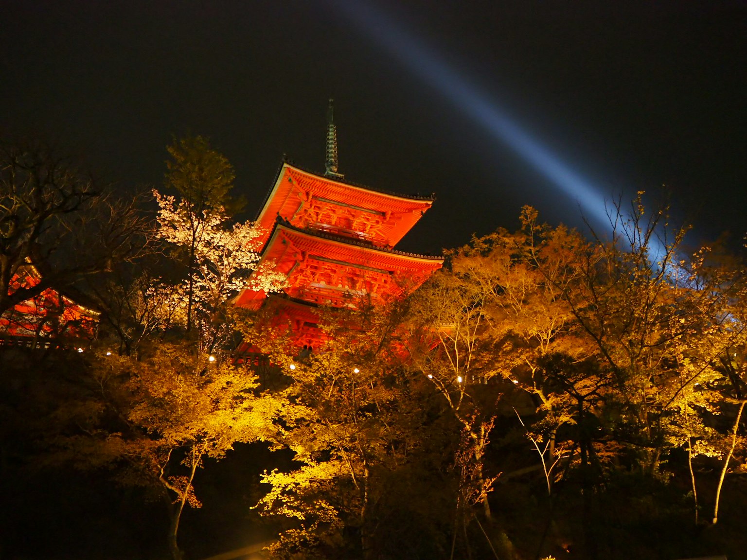 Cảnh đêm đẹp của Kiyomizu-dera với cấu trúc màu đỏ được chiếu sáng và những cây xung quanh