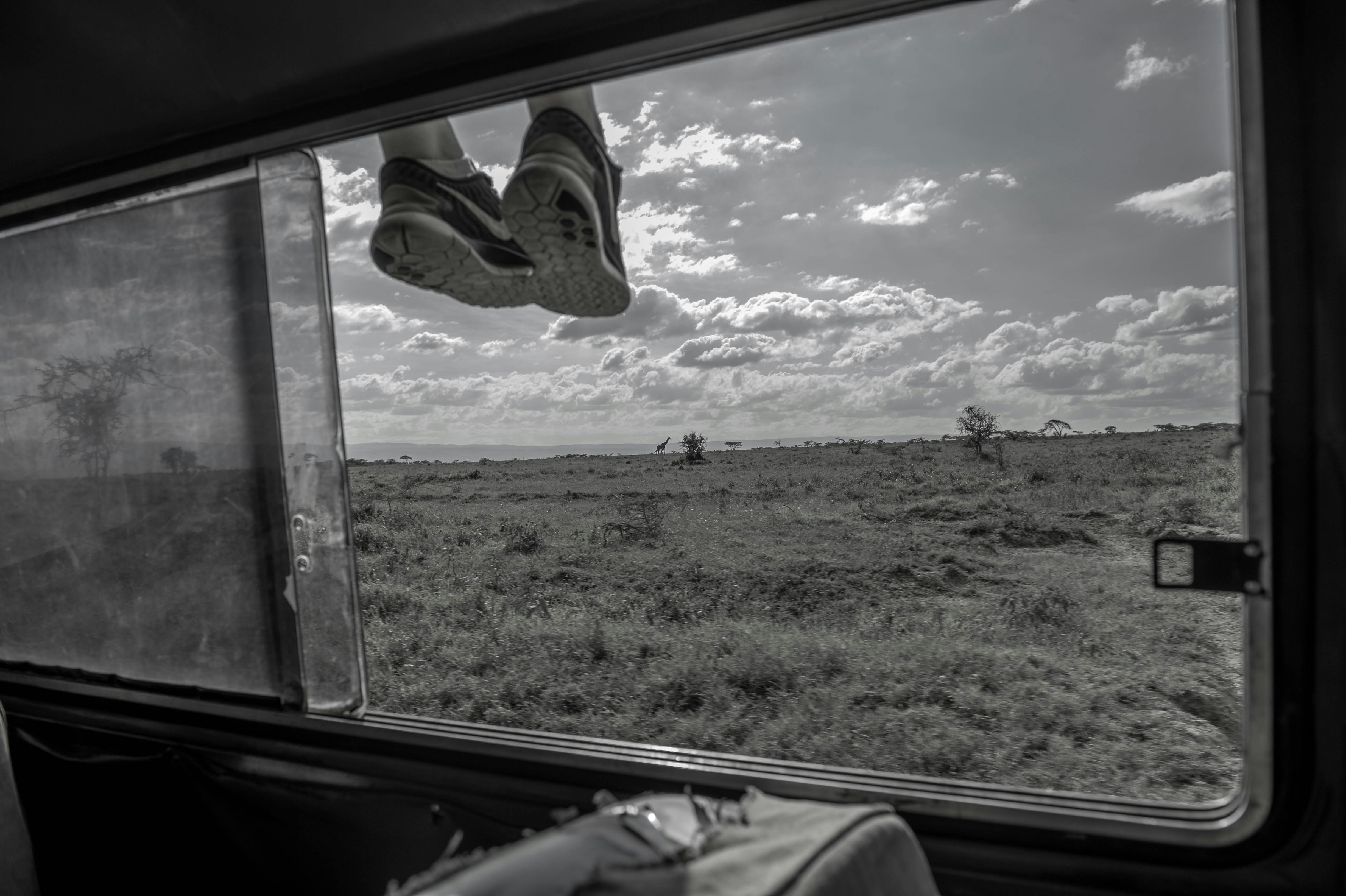 vista a través de una ventana de las praderas de la reserva Soysambu