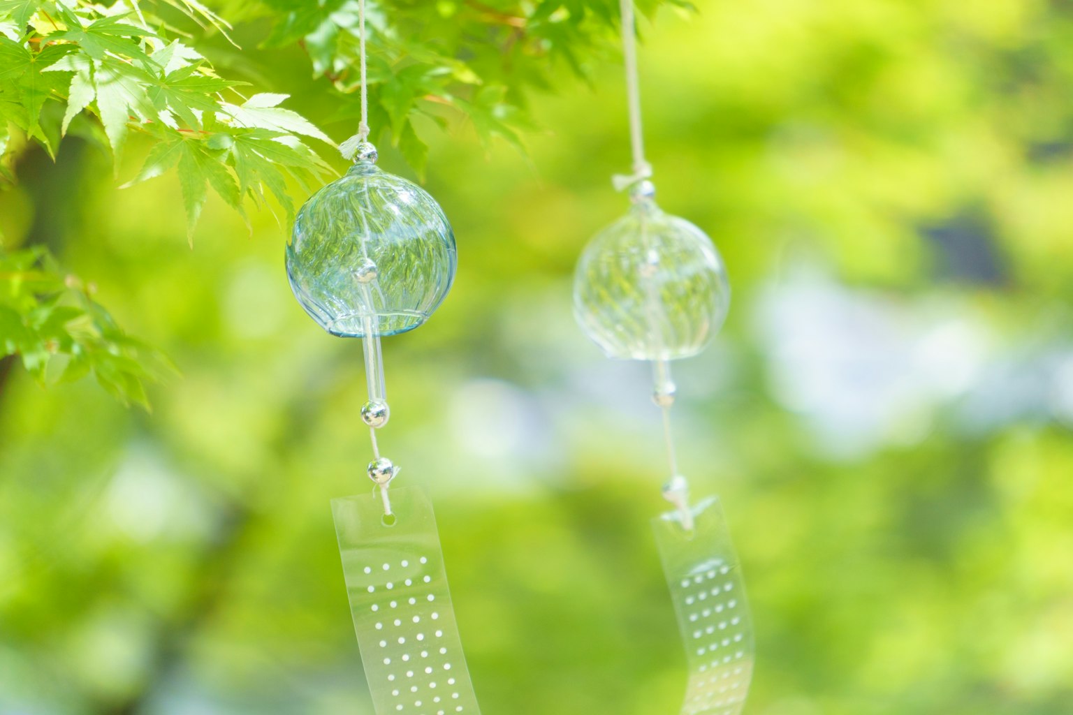 Bild von Windspielen, die zwischen grünen Blättern schwingen transparente Glasornamente und Tanzaku sind auffällig