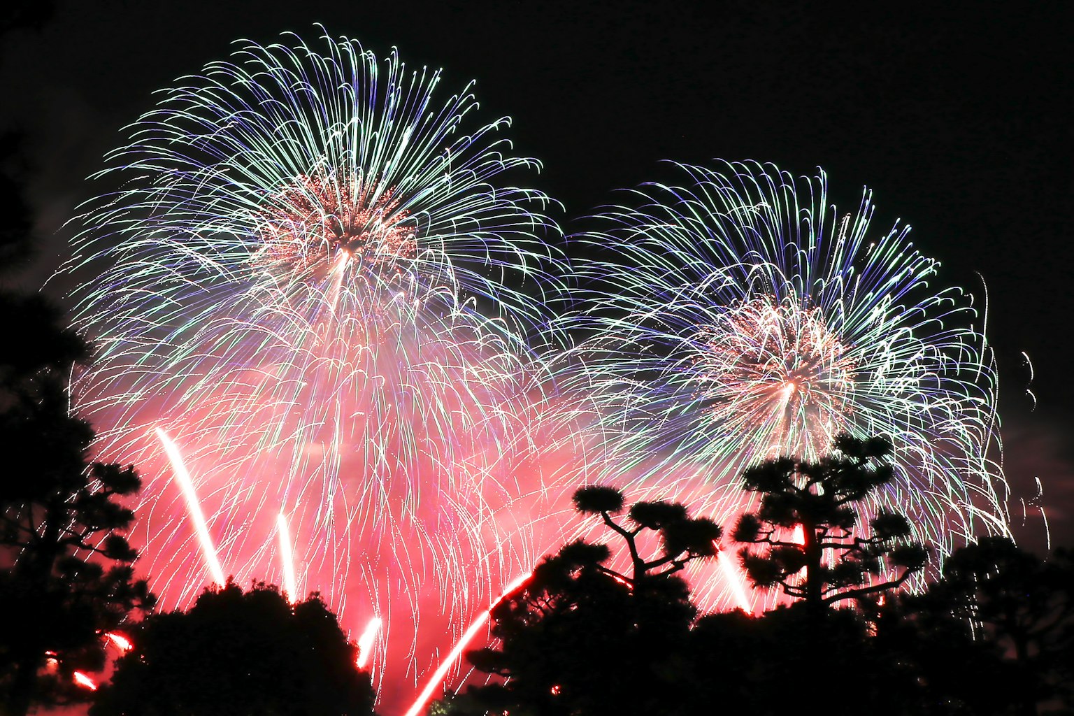 Màn trình diễn pháo hoa đầy màu sắc trên bầu trời đêm