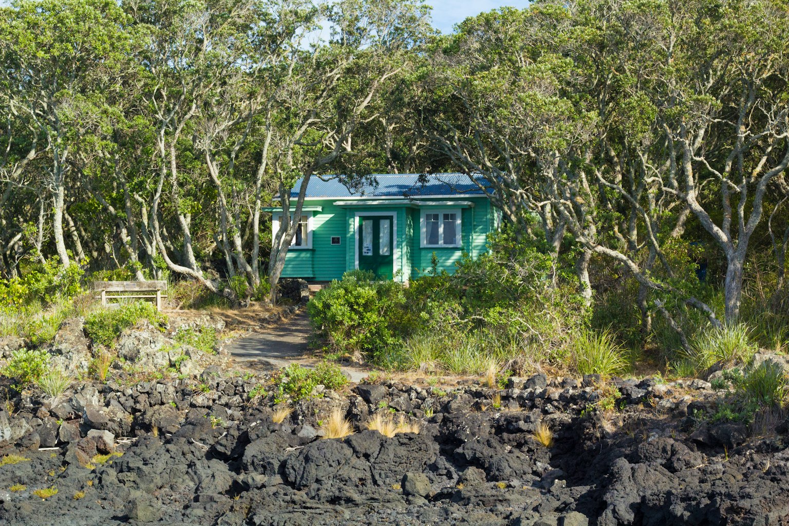 一座被树木环绕的绿色小屋靠近海岸