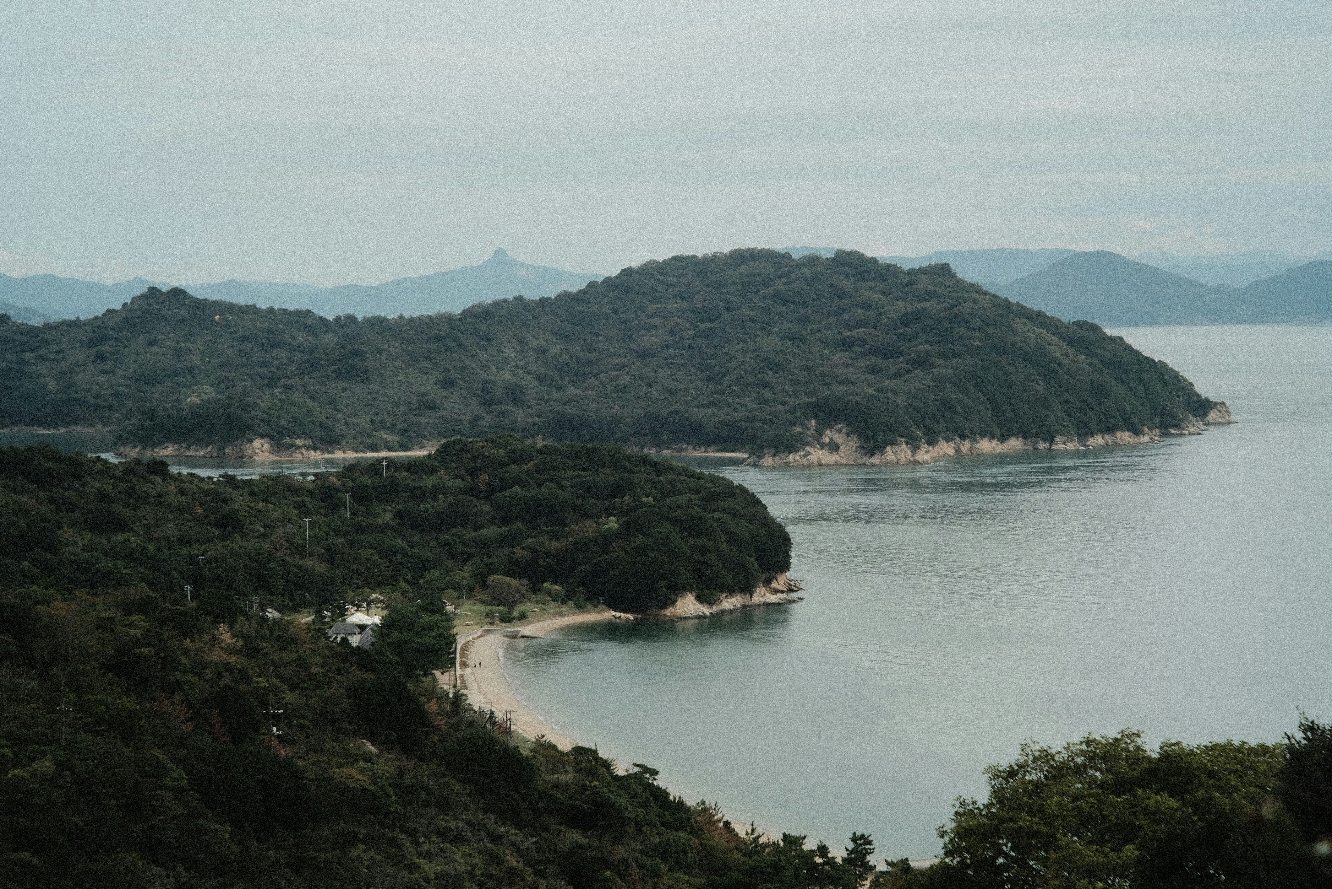 绿丘环绕的海湾海岸风景