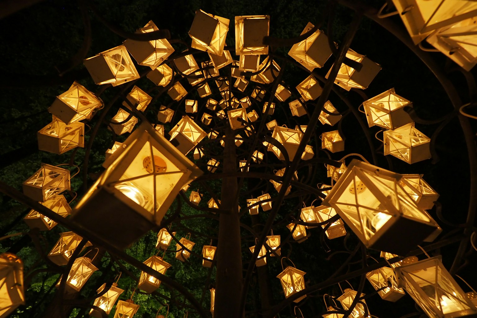 Vue du dessus d'une structure d'arbre ornée de lanternes lumineuses