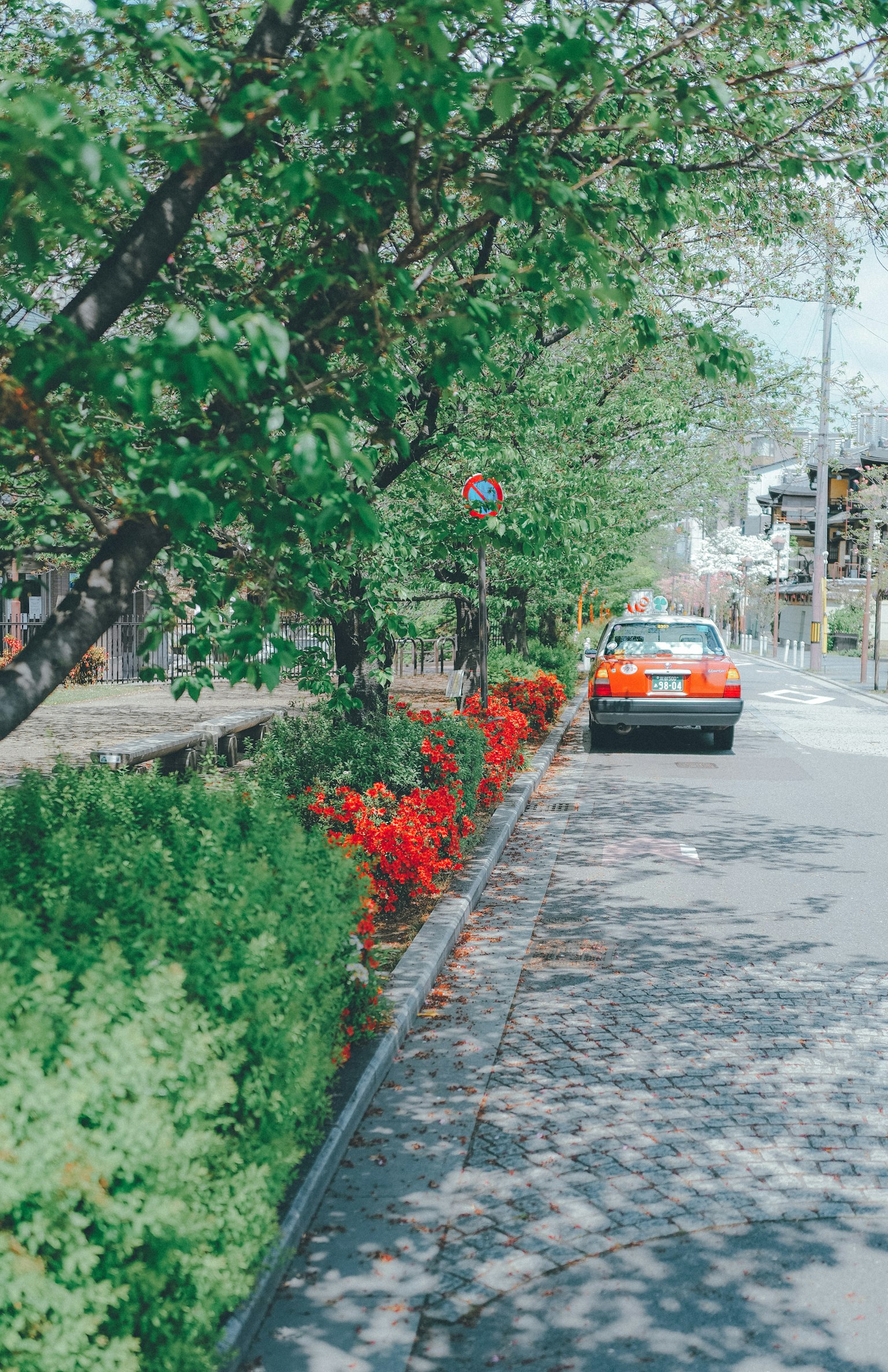 Une voiture garée sur une rue bordée d'arbres verts et de fleurs rouges