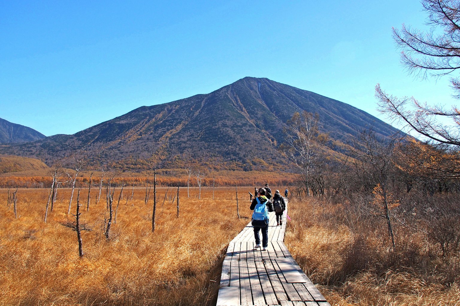 Personas caminando por un camino de madera rodeadas de follaje otoñal y montañas