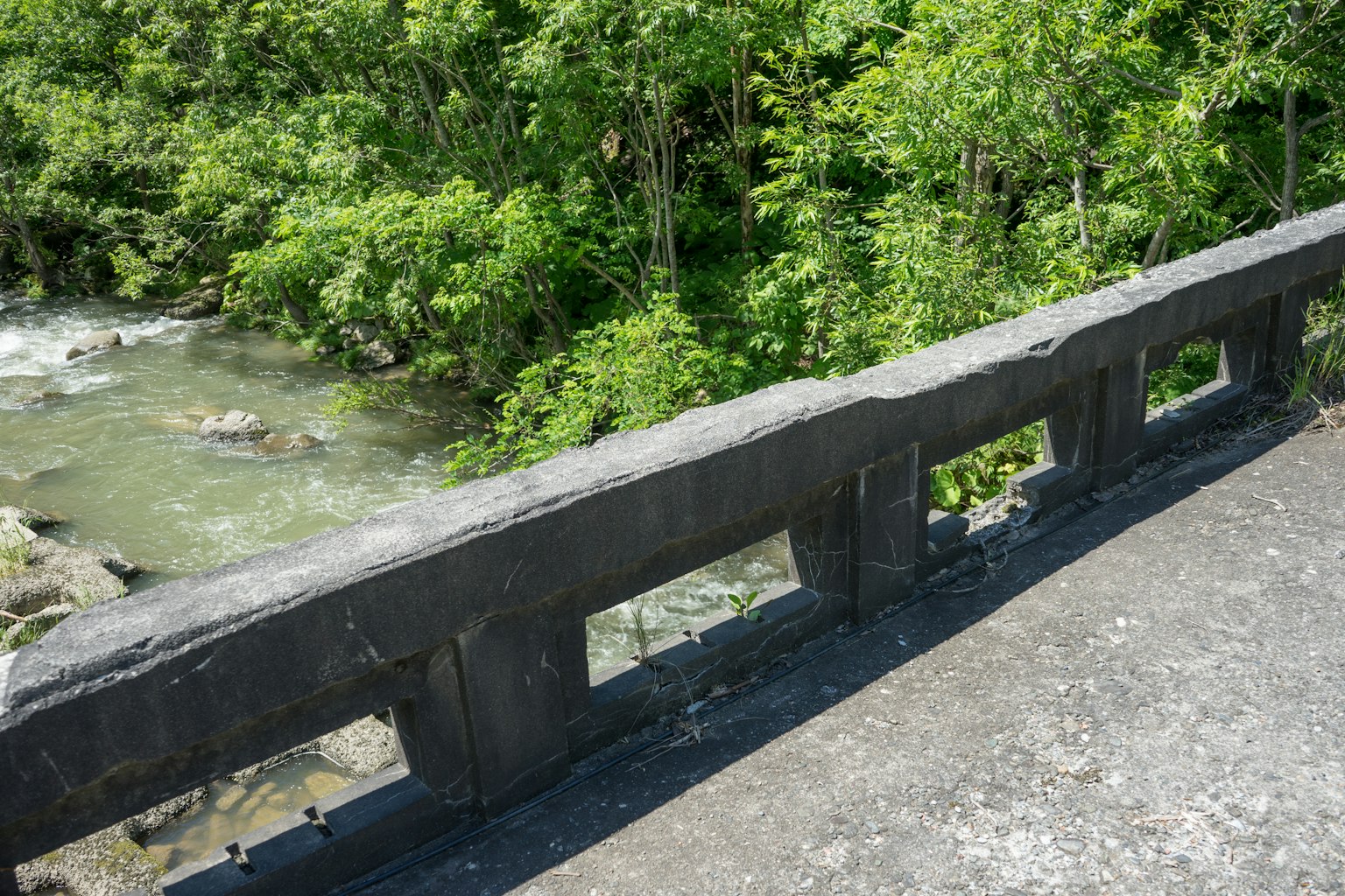 Vista de la barandilla de un puente que da a un río rodeado de vegetación exuberante