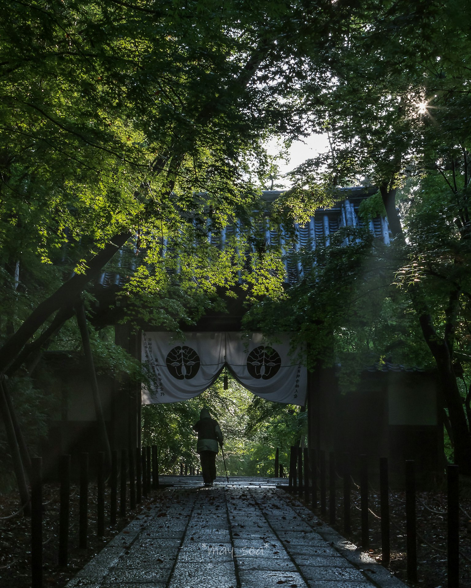 一個人在被綠樹環繞的小路上走，前面有一個拱門