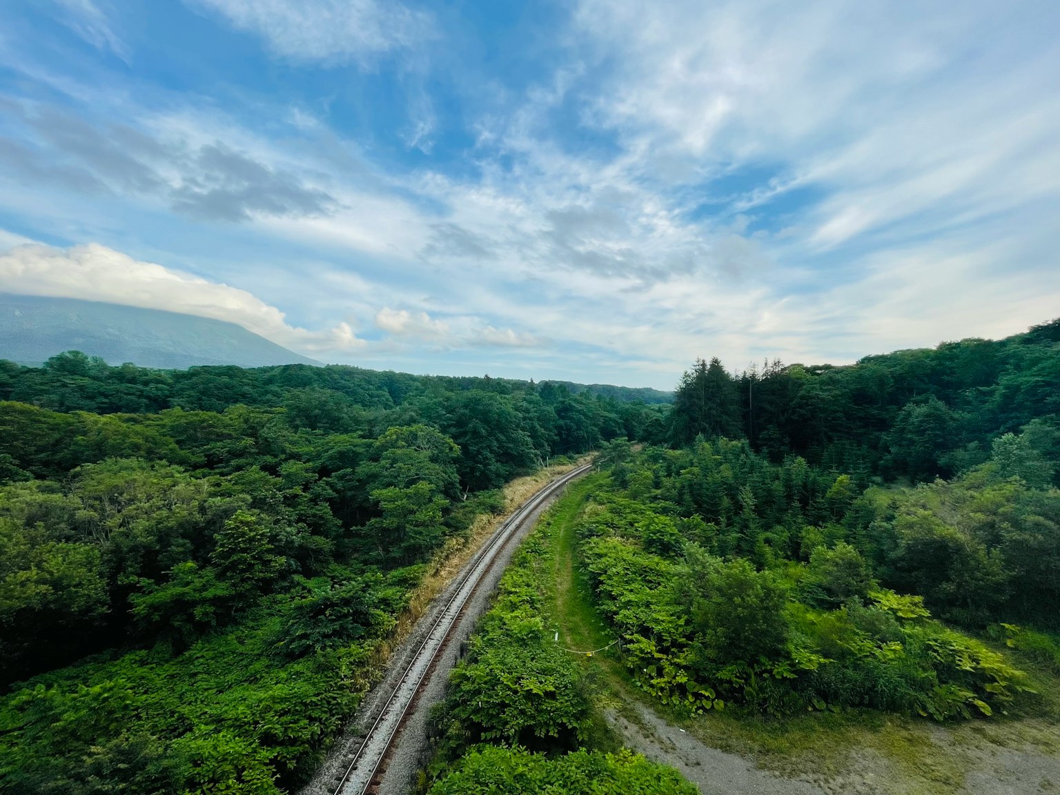 Gekrümmte Eisenbahnstrecke umgeben von üppigem Grün und blauem Himmel