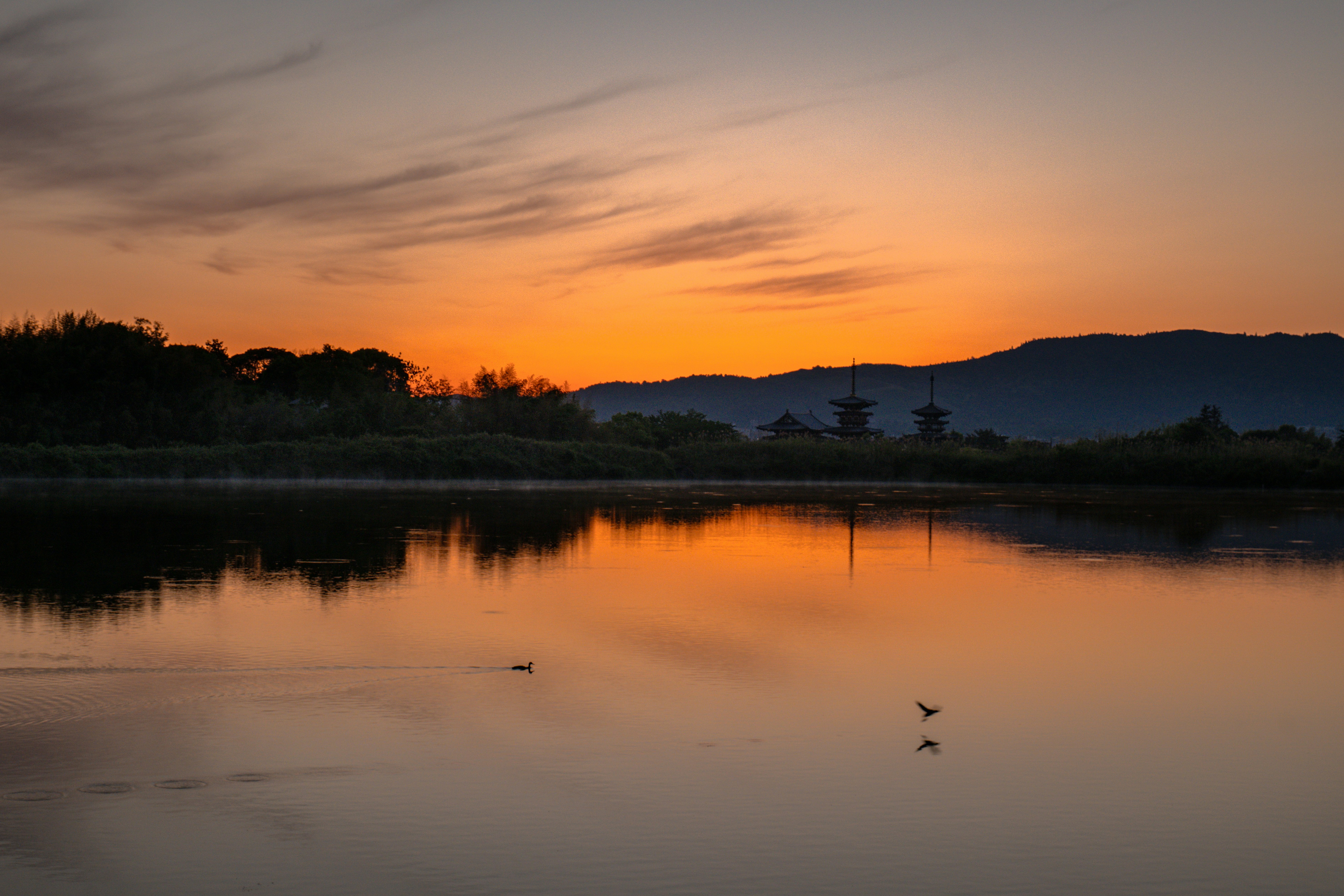 奈良・大池の朝の湖面に映る夕焼け