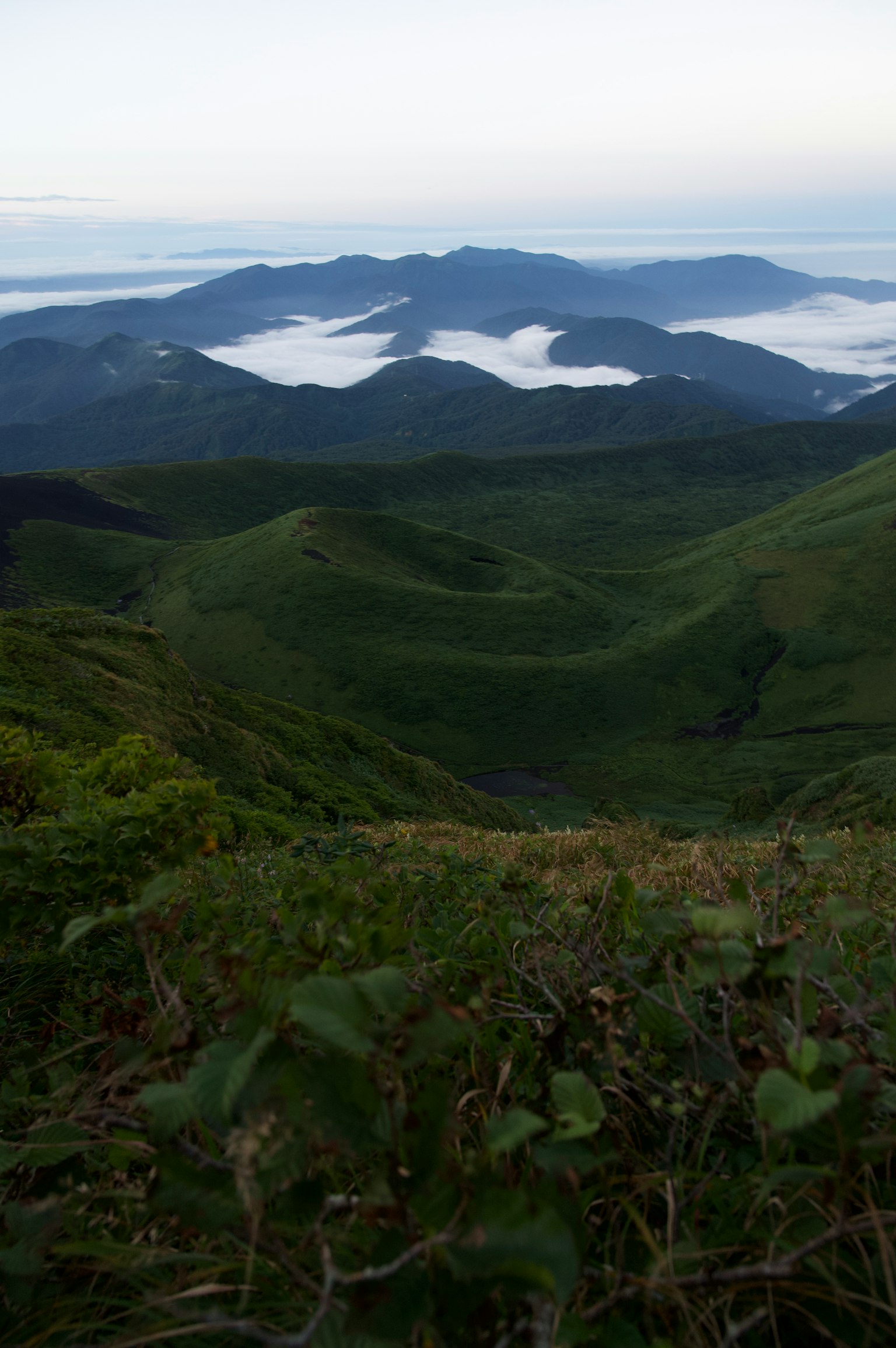 Üppige grüne Berge mit einer Wolkenmeer im Hintergrund