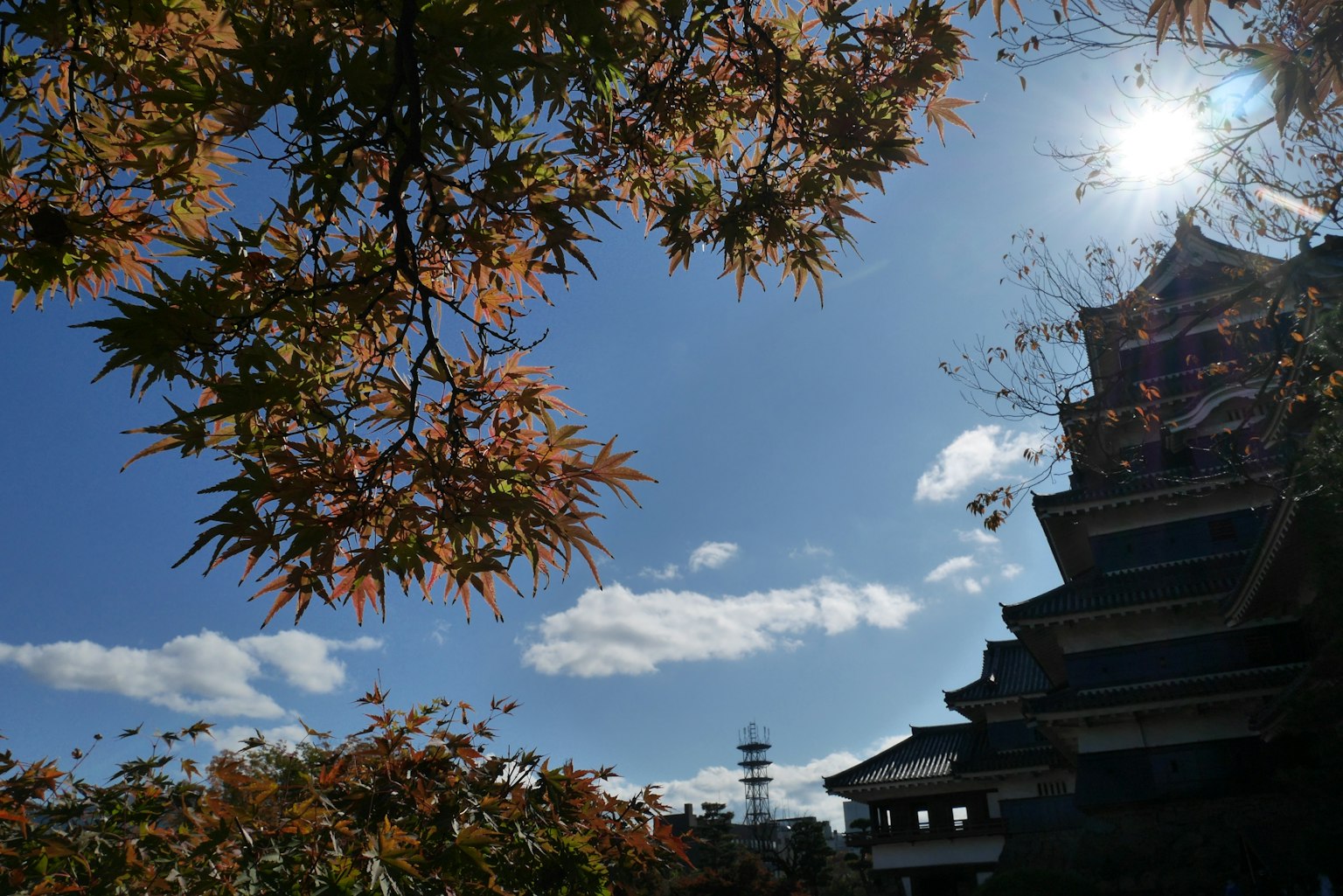 Edificio japonés tradicional con hojas de otoño contra un cielo azul