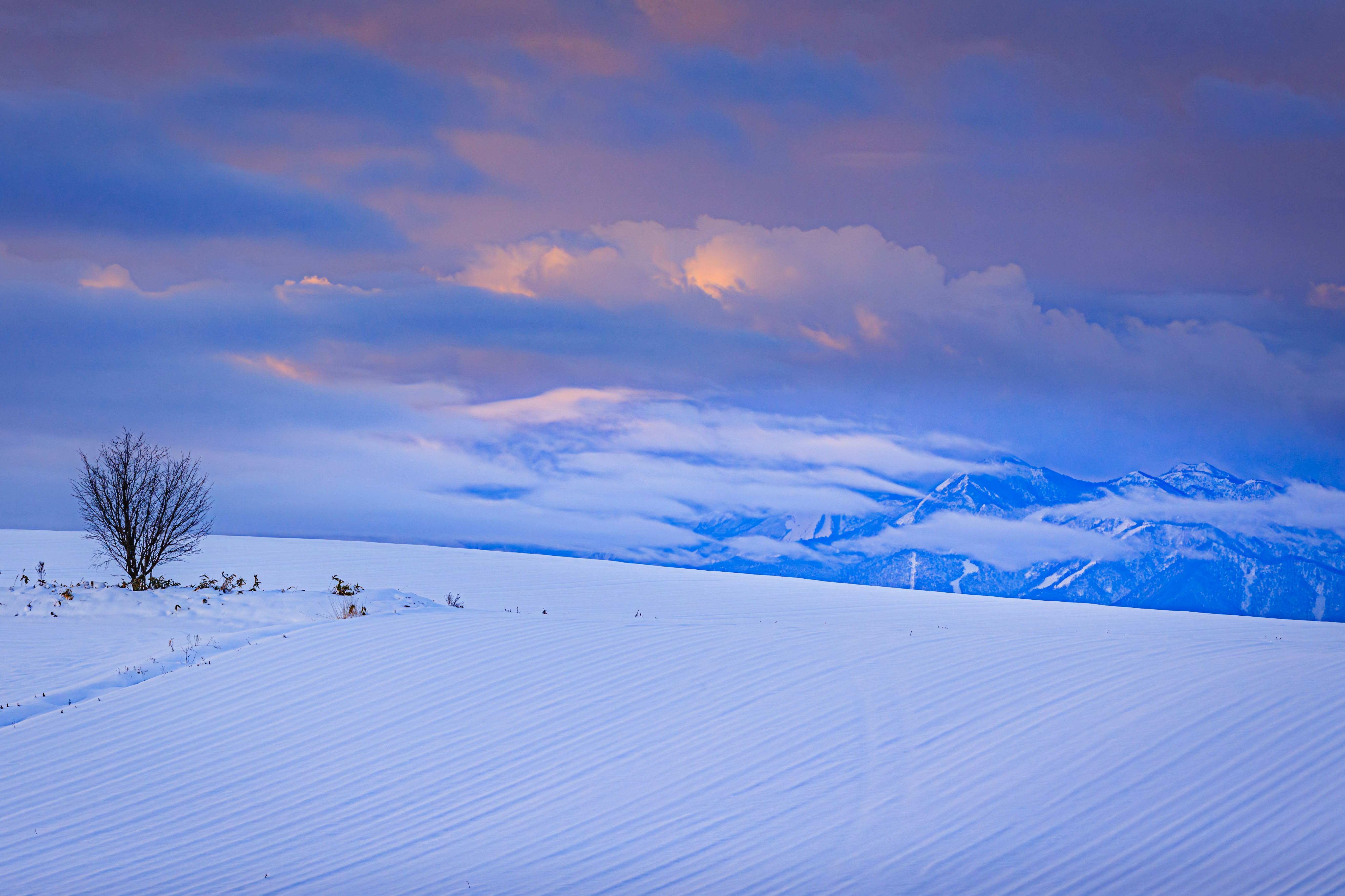 雪原に広がる青い空と山並みの風景