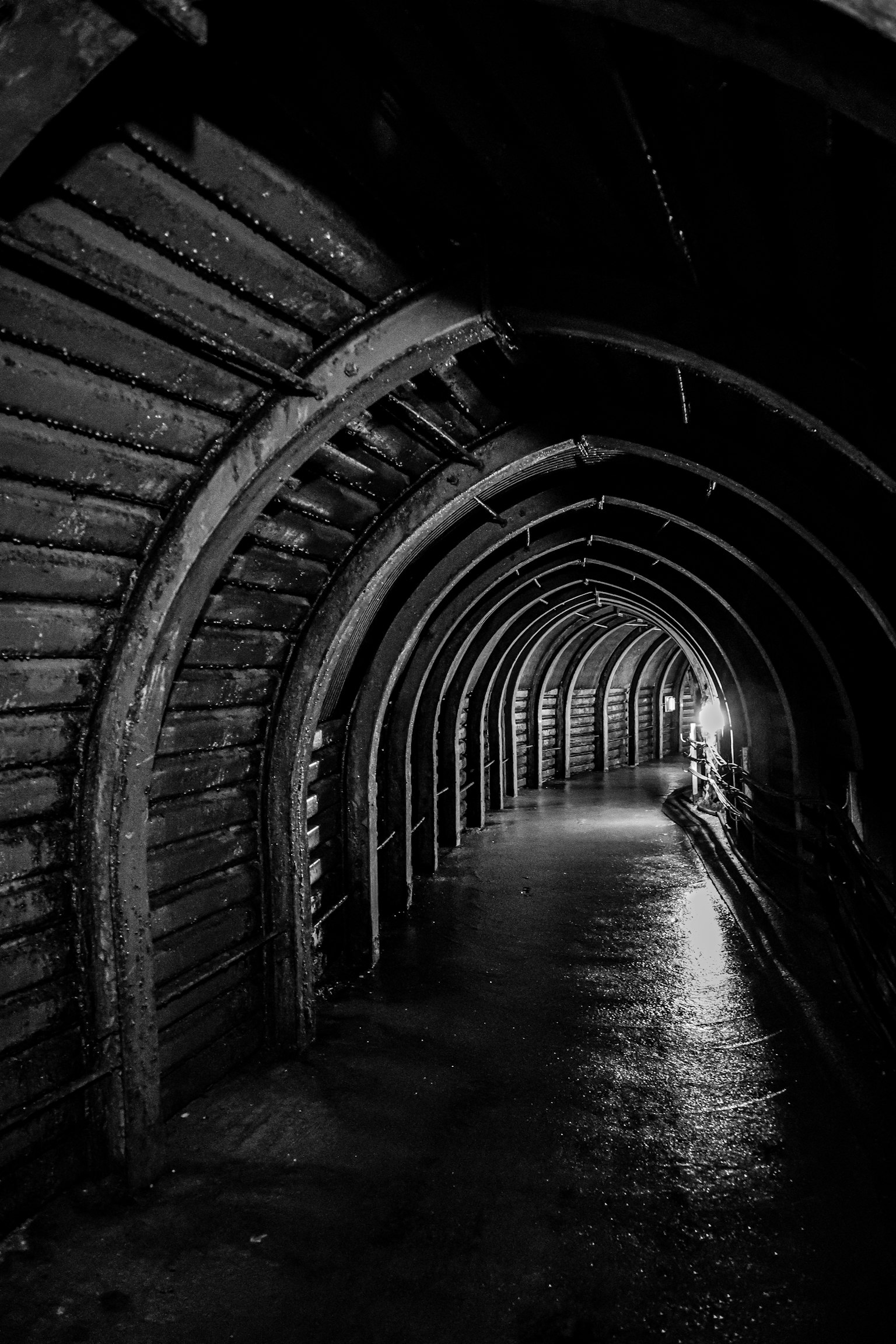 photo-bKHE2bTSlr00FYyCUGAu-image