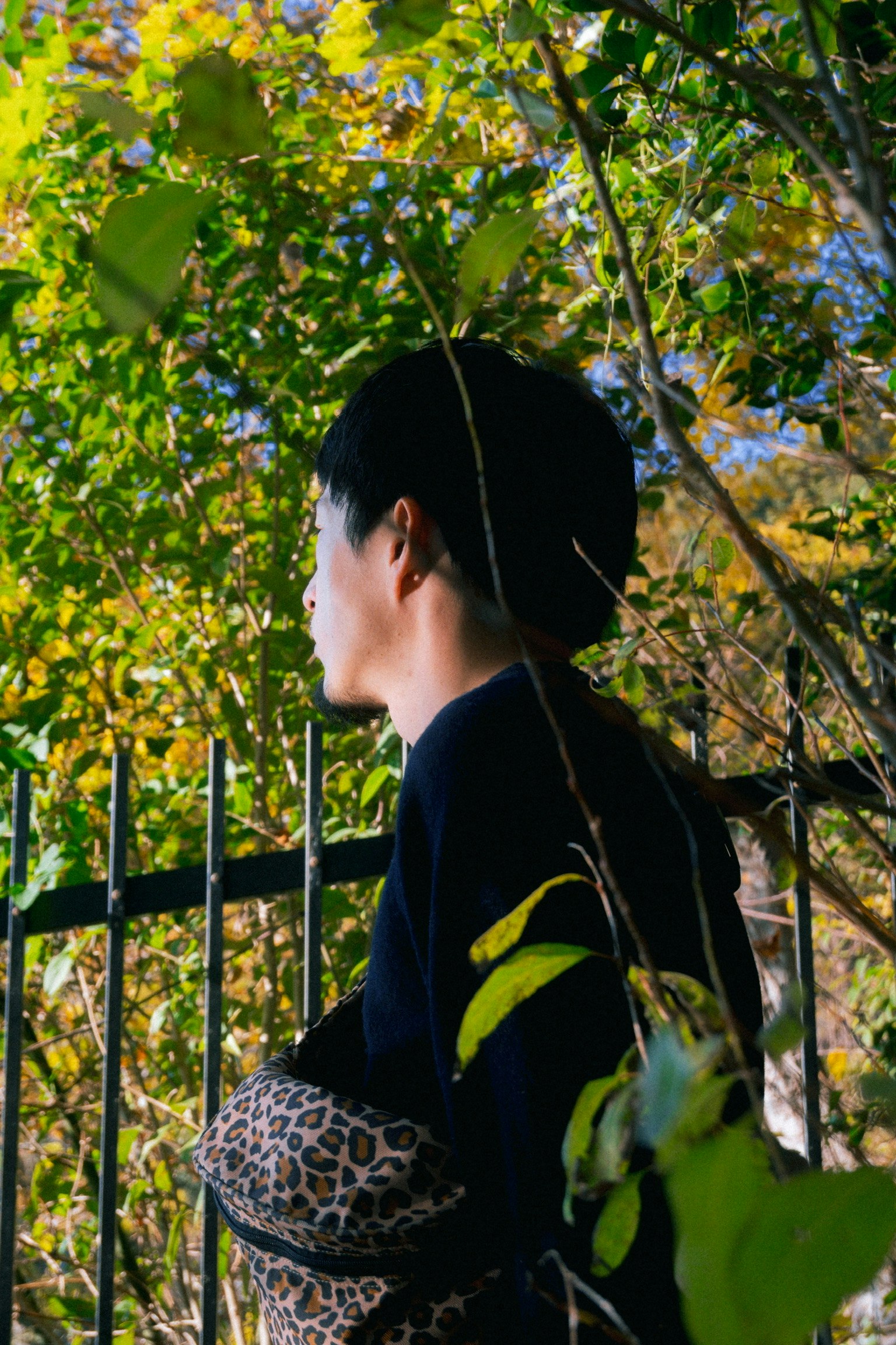 緑の葉に囲まれた若者がフェンスのそばに立っている