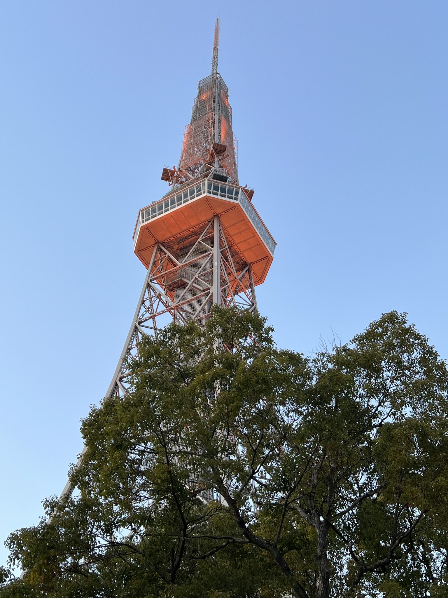 從下方看名古屋電視塔，前景有綠色樹木