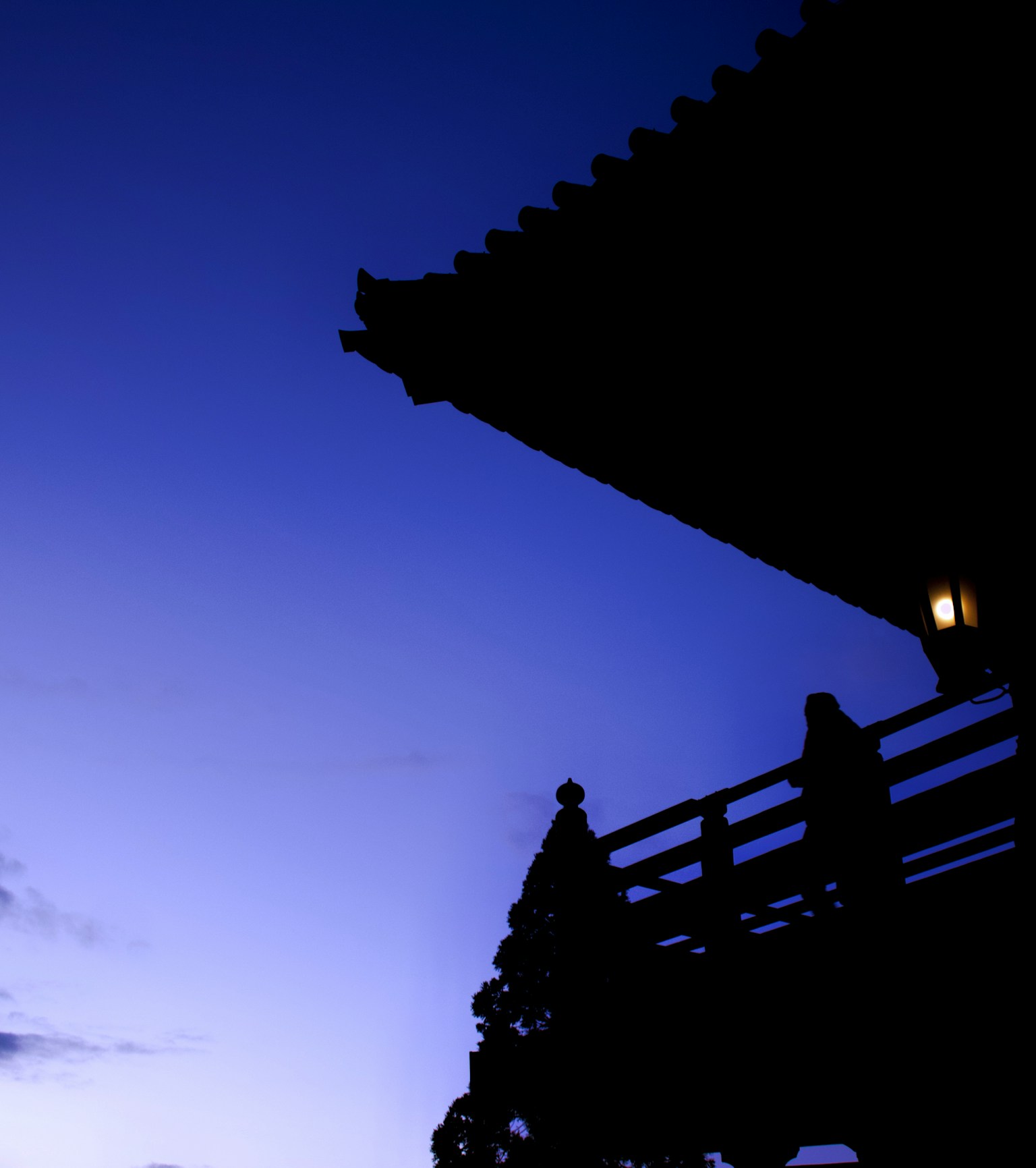 photo-bKvPskE8WOD3mvNFvria-image