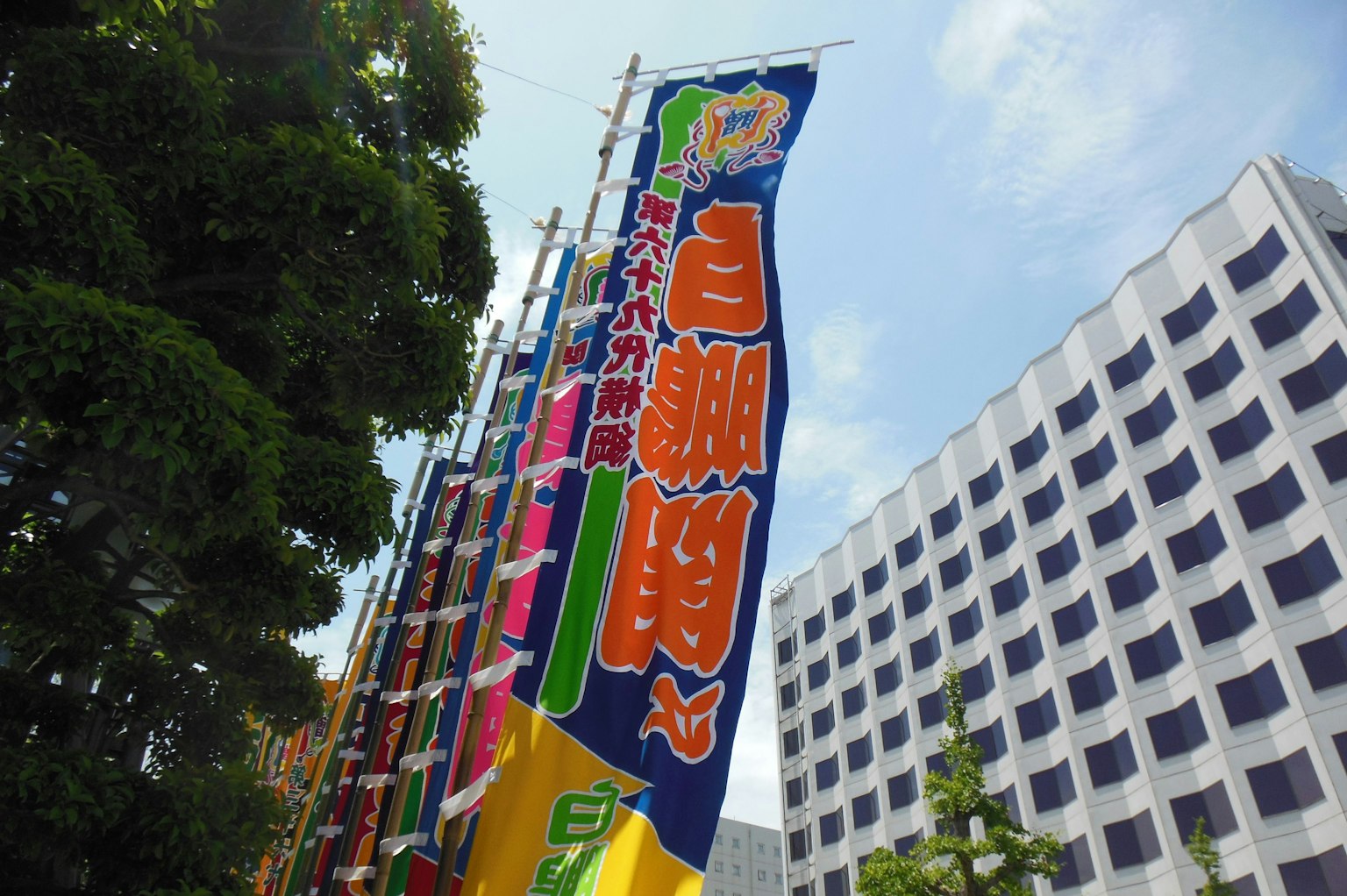 建築外顯示的彩色旗幟