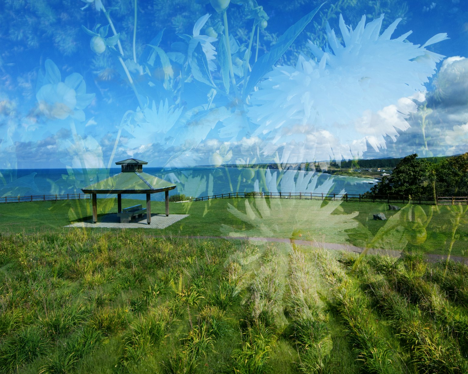 Pavillon surplombant la mer avec ciel bleu et prairie