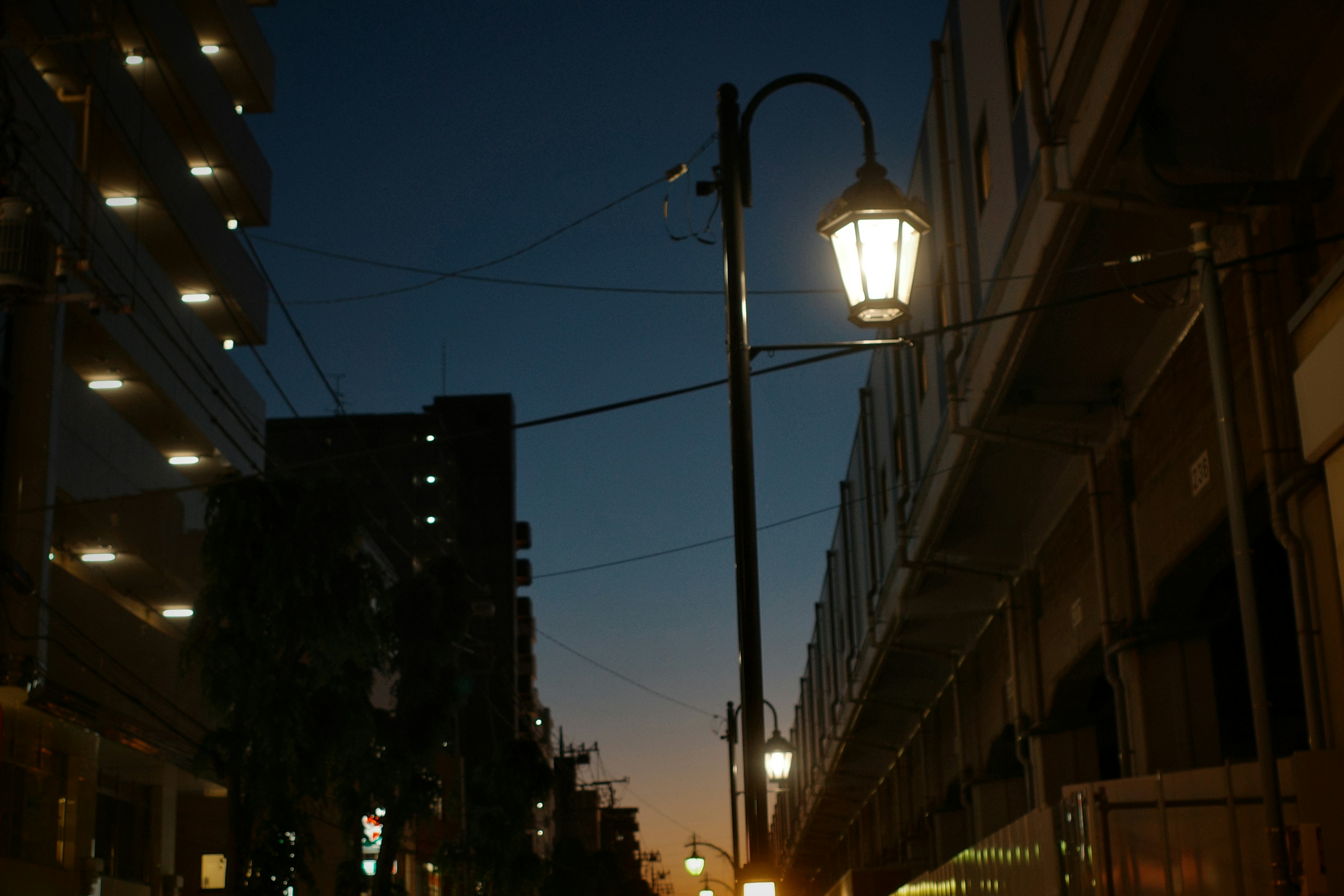 夕暮れの街路灯が並ぶ路地の夜景