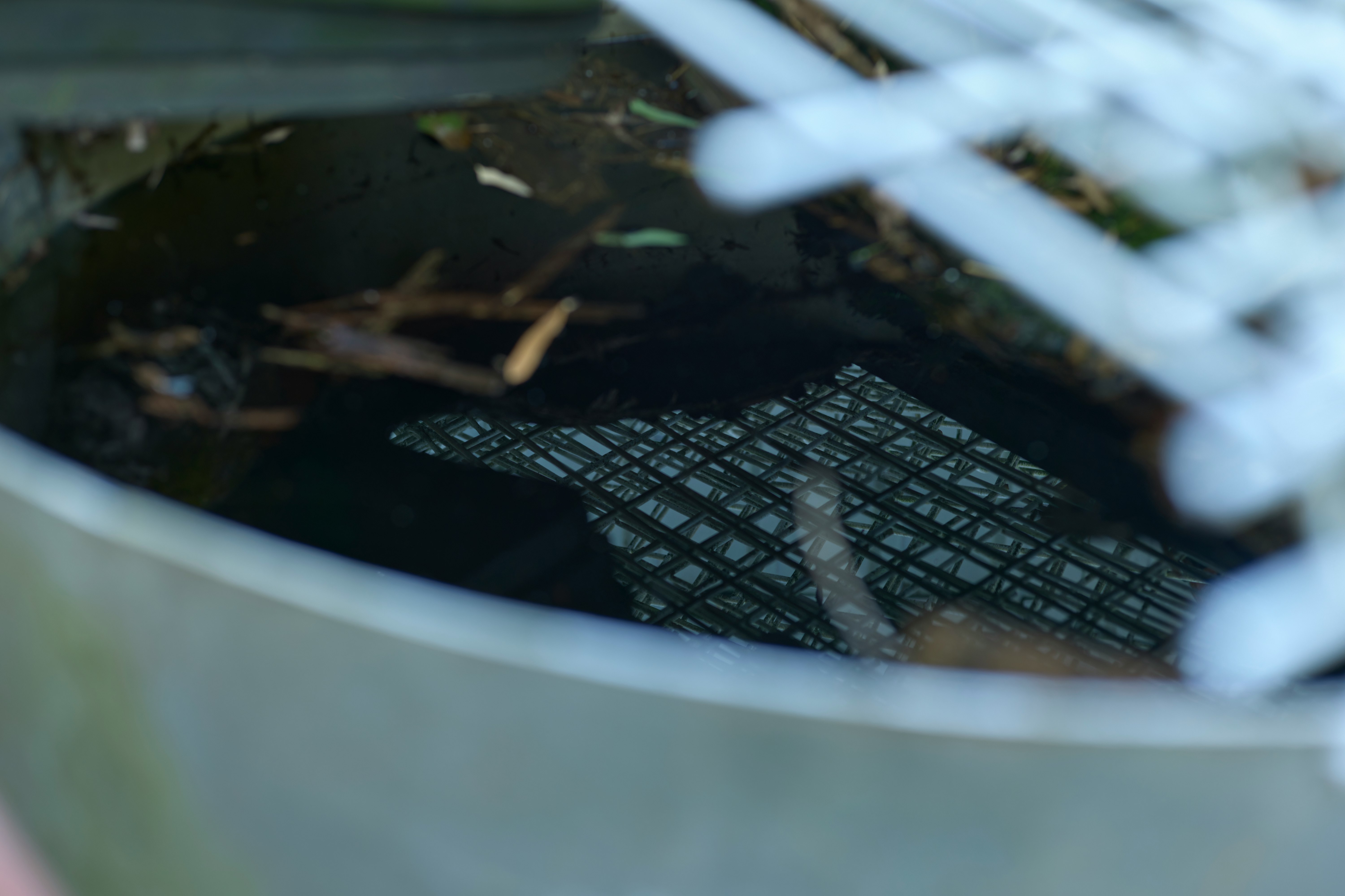 水槽の中で見える金網と水面の反射